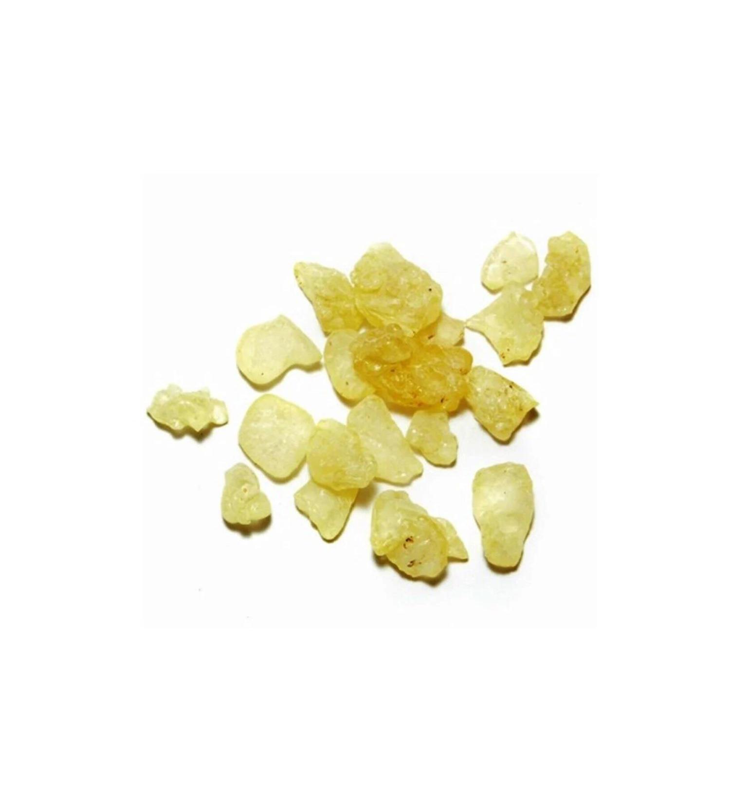 LokmanAVM Natural Gum Tree Mastic Gum Granule 1st Quality Piece Piece 10GR