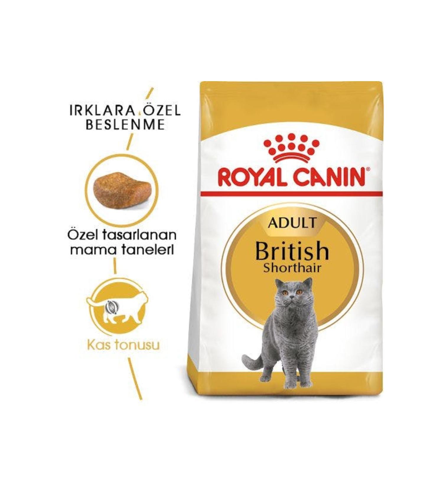 Royal Canin British Shorthair Adult Cat Food 4 kg