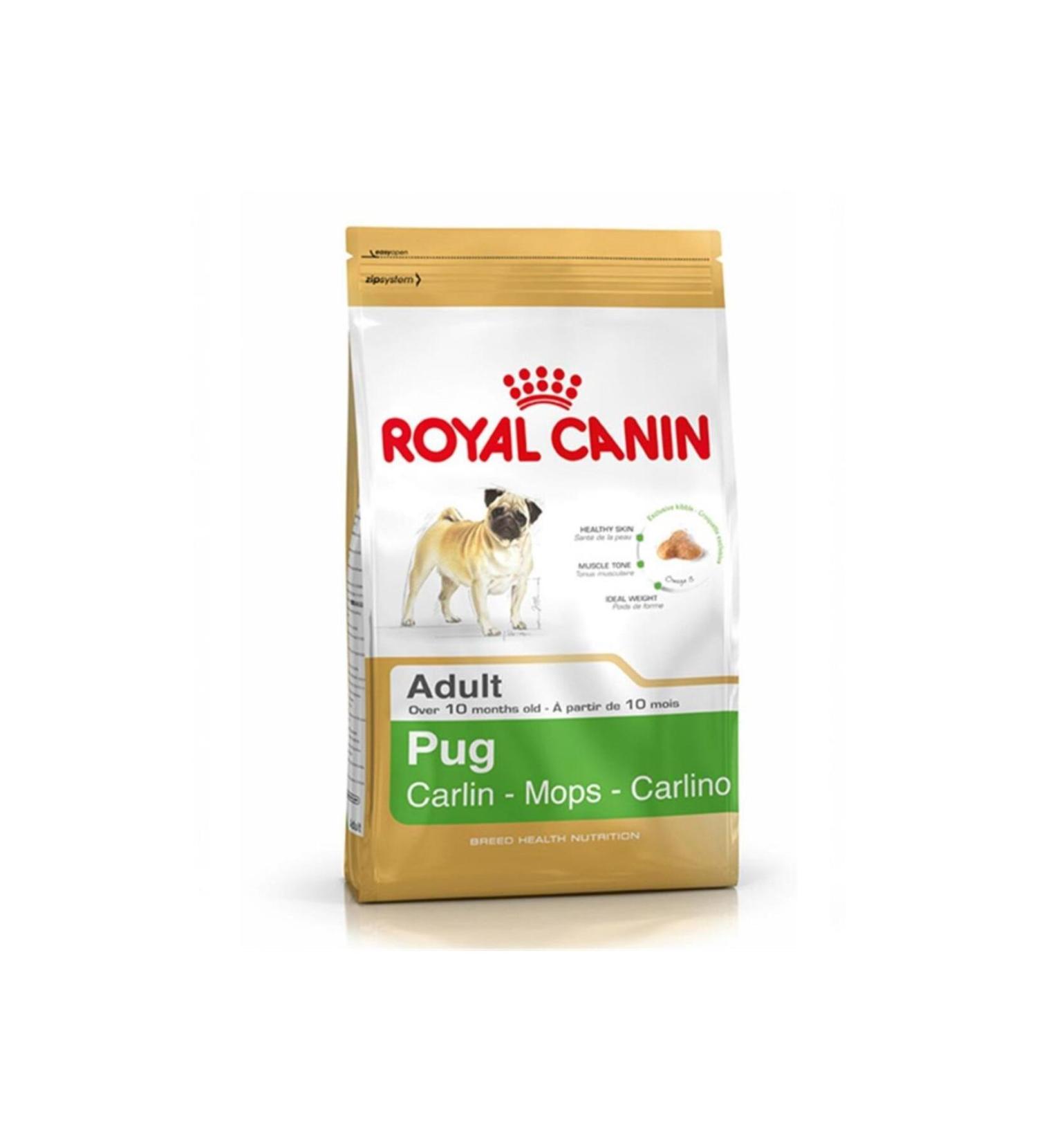 Royal Canin Pug Adult 1.5 Kg. TazeMama Express5763 - Buy Online on GoSupps.com