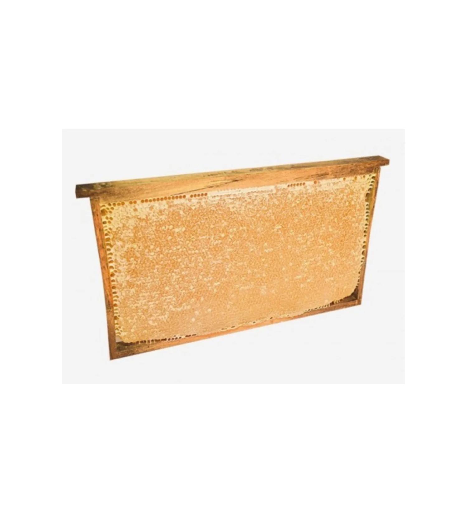 Kars Organic Honeycomb Honey 1 KG from Organikmarket
