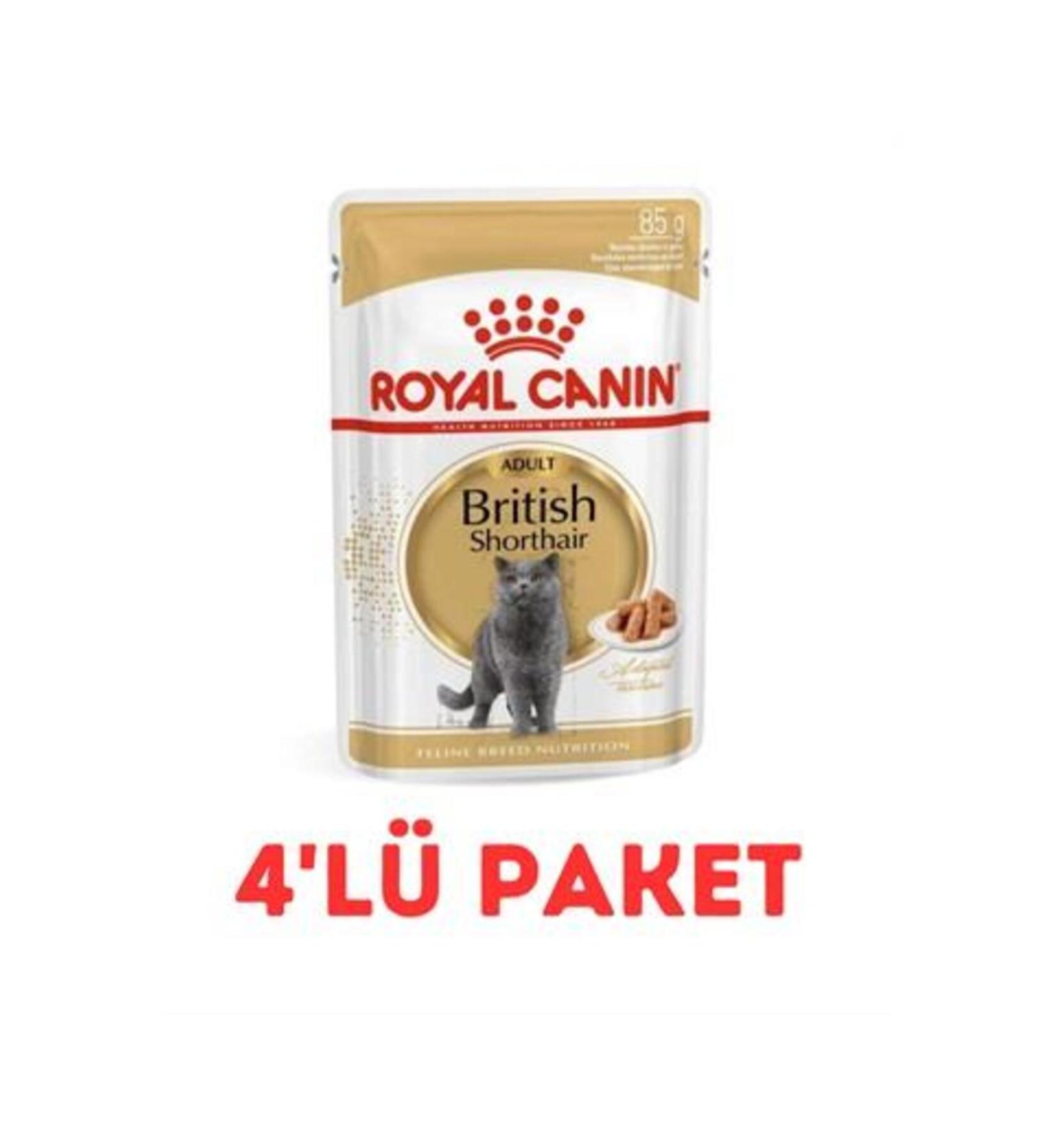 Royal Canin British Shorthair Cat Canned Food 85 Gr 4-Pack