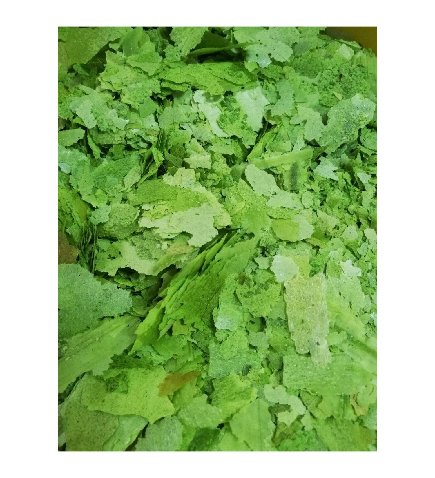 Artakua Spirulina Flake Food Guppy Food Cichlid Fish Food 100 grams - Buy Online on GoSupps.com