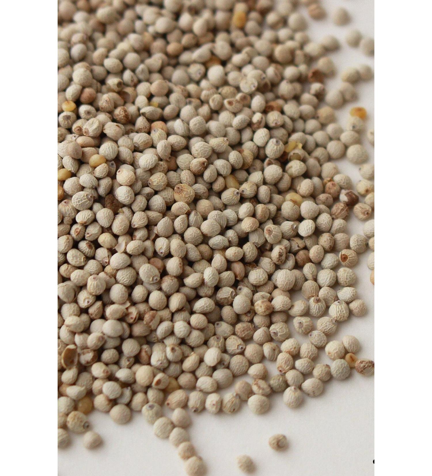 han melipetstore Perilla Seed For Your Birds 500 Grams