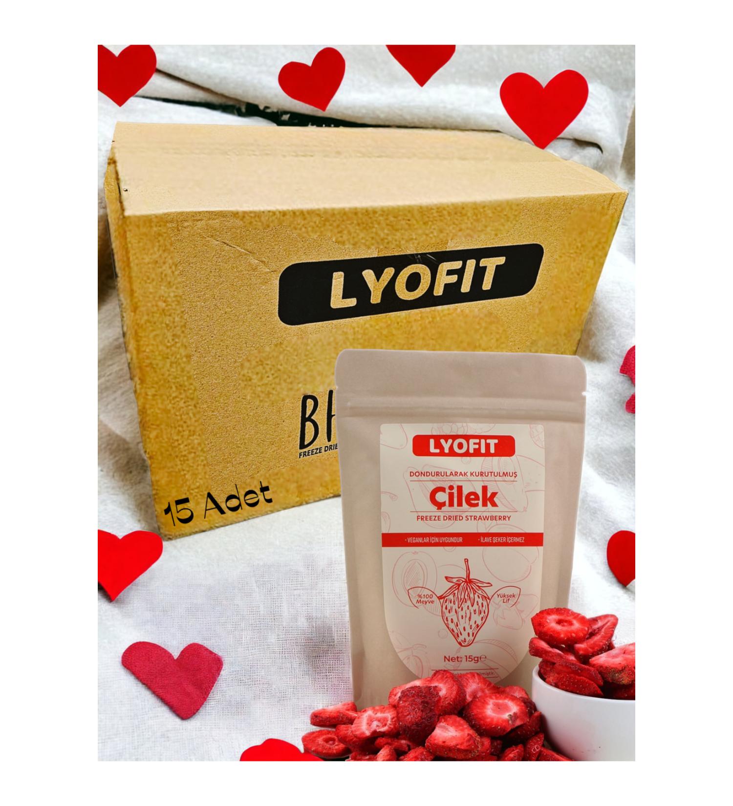Lyofit Food Strawberry Chips (Lyofit 15 Piece Economic Pack)