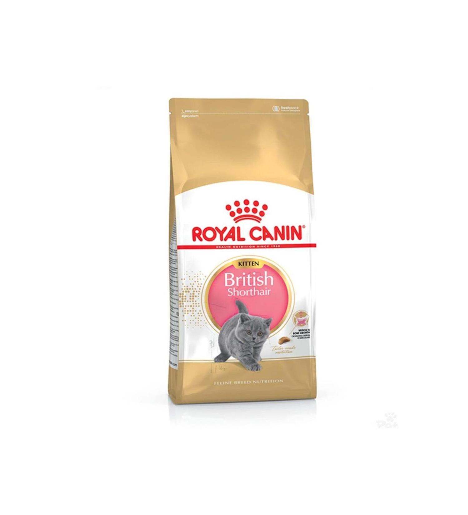 Royal Canin British Shorthair Kitten Cat Food 2 Kg - Tazemama Express