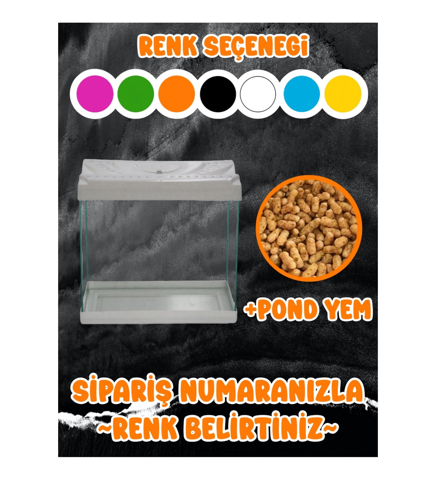 MD ZM R Mini Nano Aquarium and Fish Food All Colors Available New Production