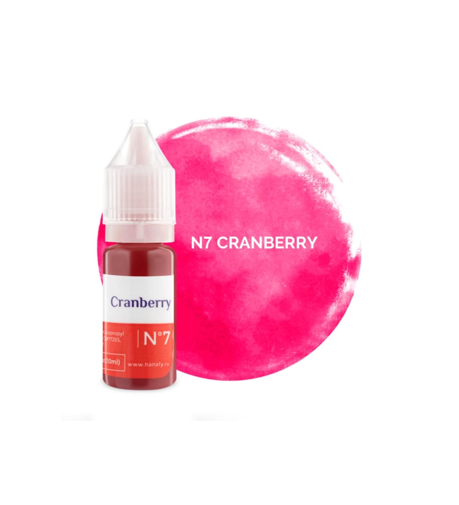 HANAFY Permanent Makeup Pigments American Pigmented Original Russian Origin