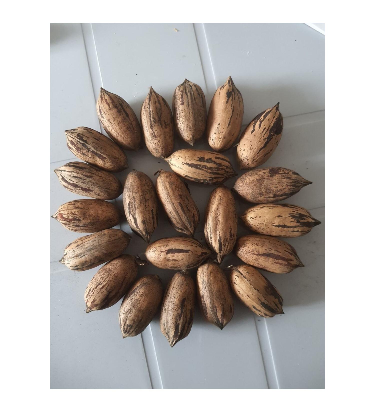 olivestone pecan nuts 1kg
