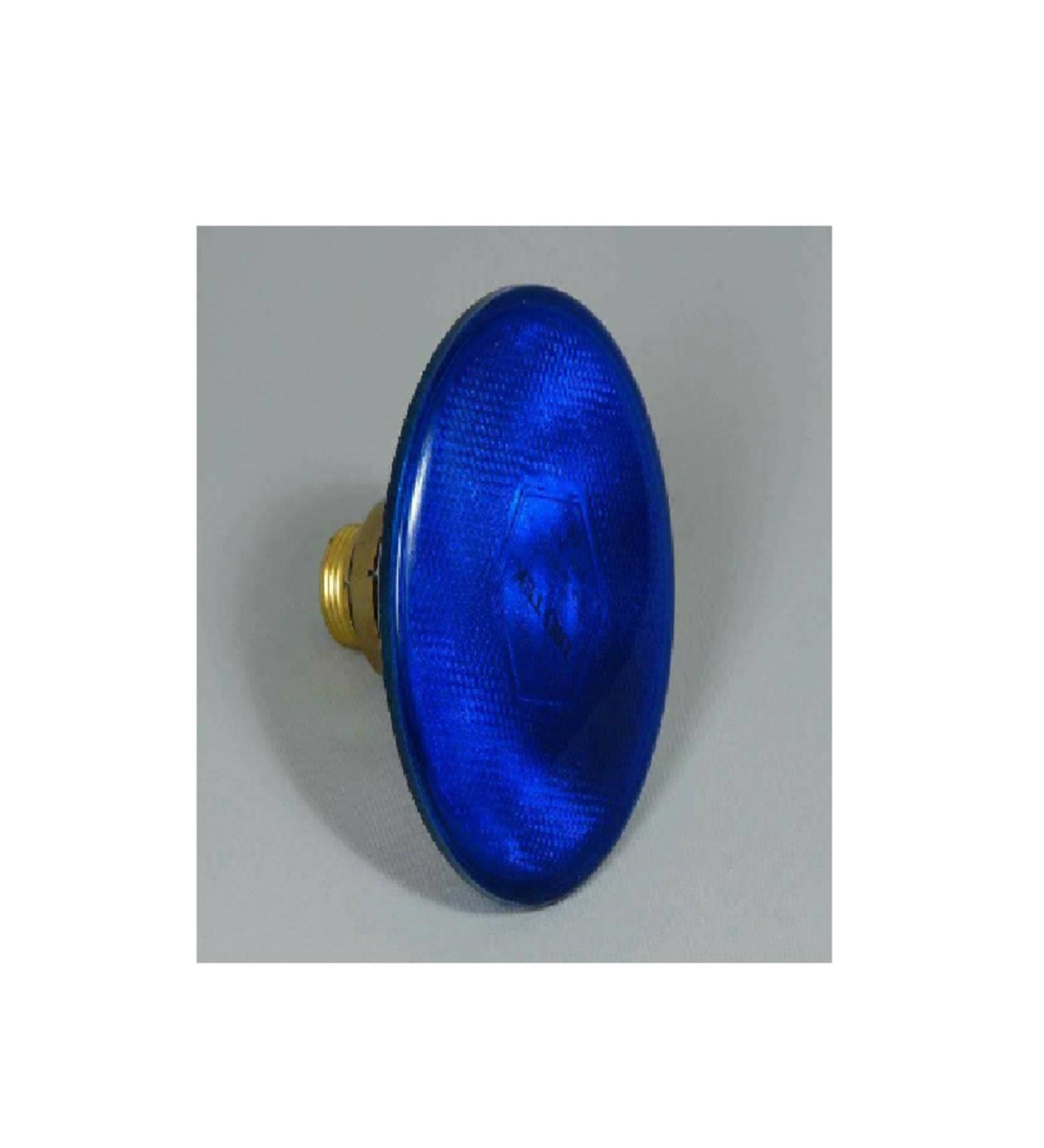 AKDEREPET 80 WATT BLUE PAR38 LAMP HEATER LAMP