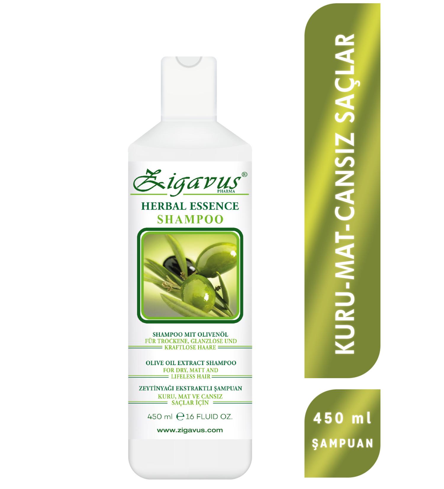 Zigavus Olive Oil Extract Shampoo for Dry Dull and Lifeless Hair 450 ml 8699349130350 - Buy Online on GoSupps.com