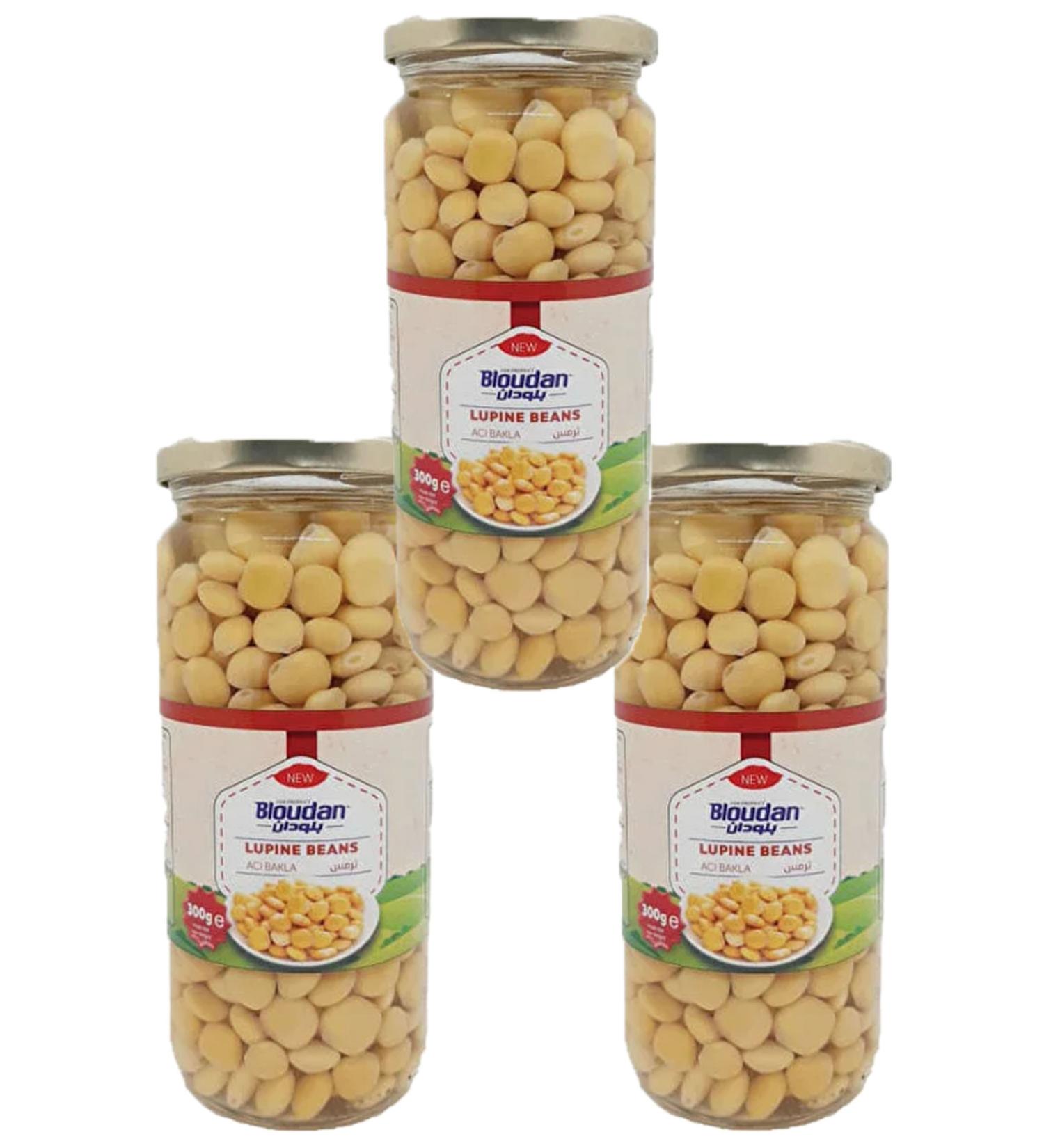 BLOUDAN Ready Termiye 300 gr X3 PIECES - Buy Online on GoSupps.com