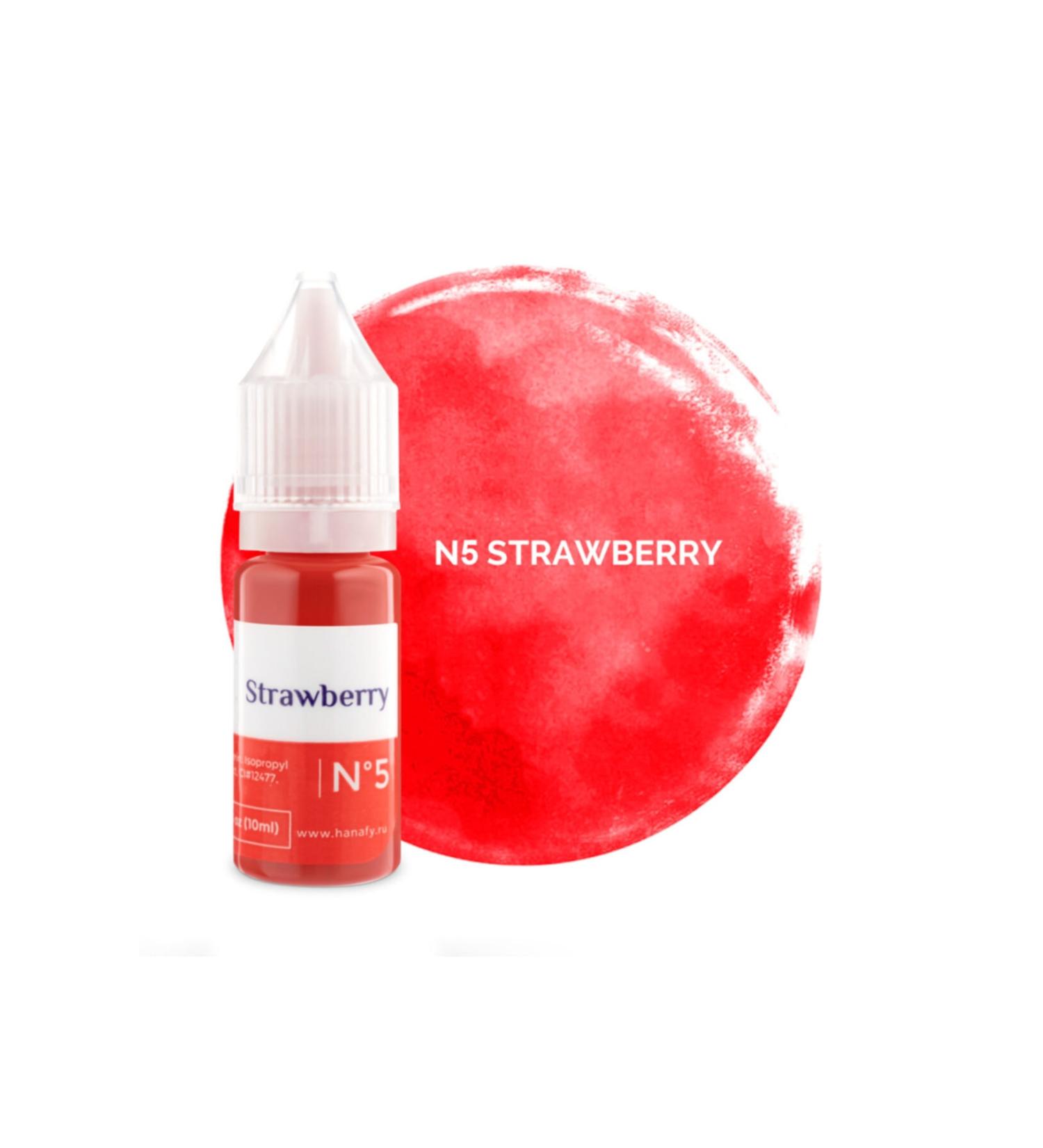 HANAFY Permanent Makeup Pigments American Pigment Original Russian Origin