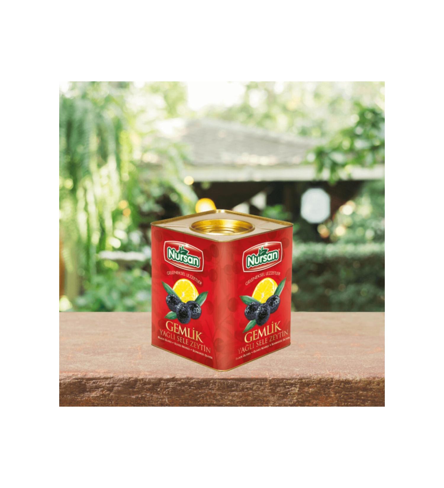 Nursan Food Special Olive 4kg