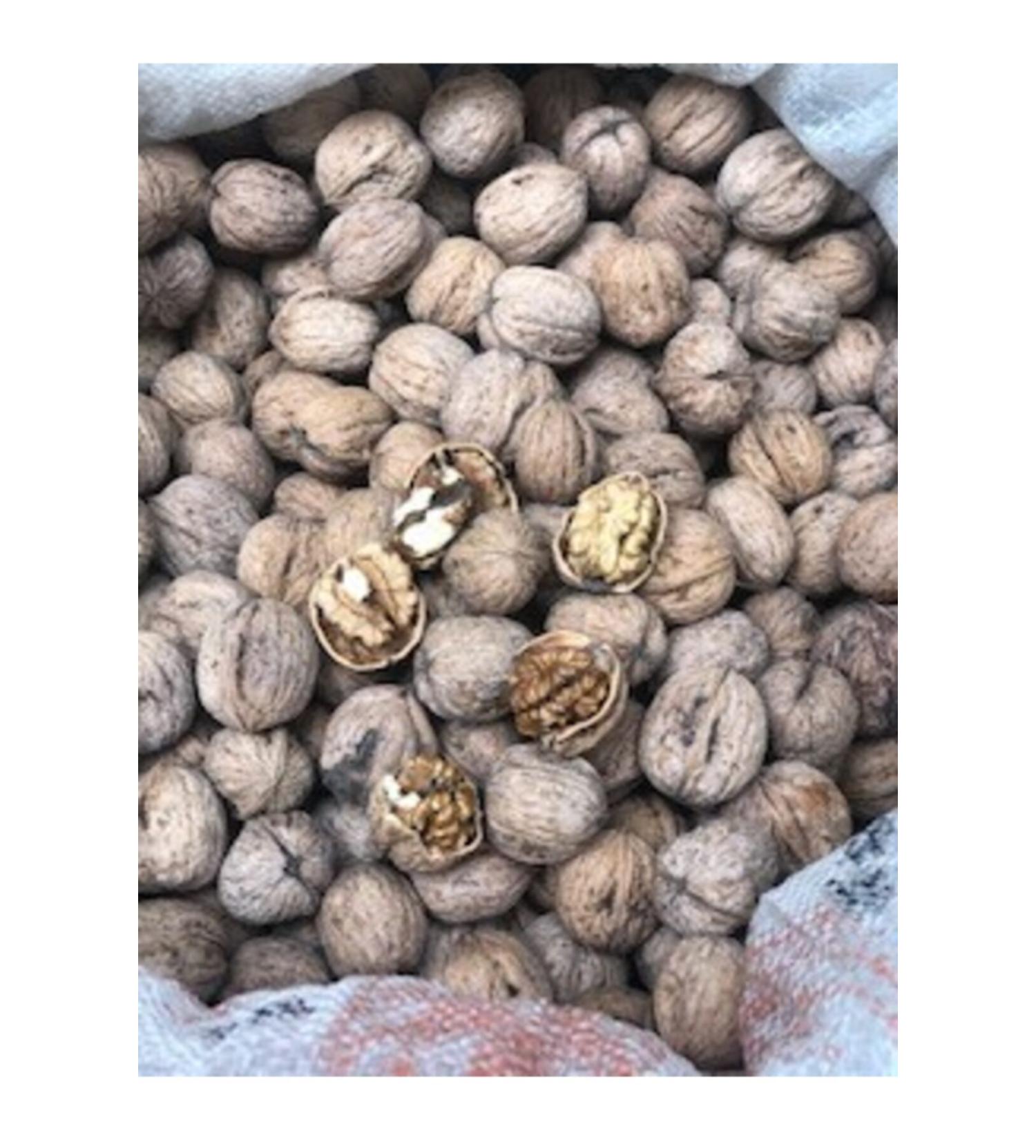 WALNUT FROM THE NIGHT Shelled Walnut