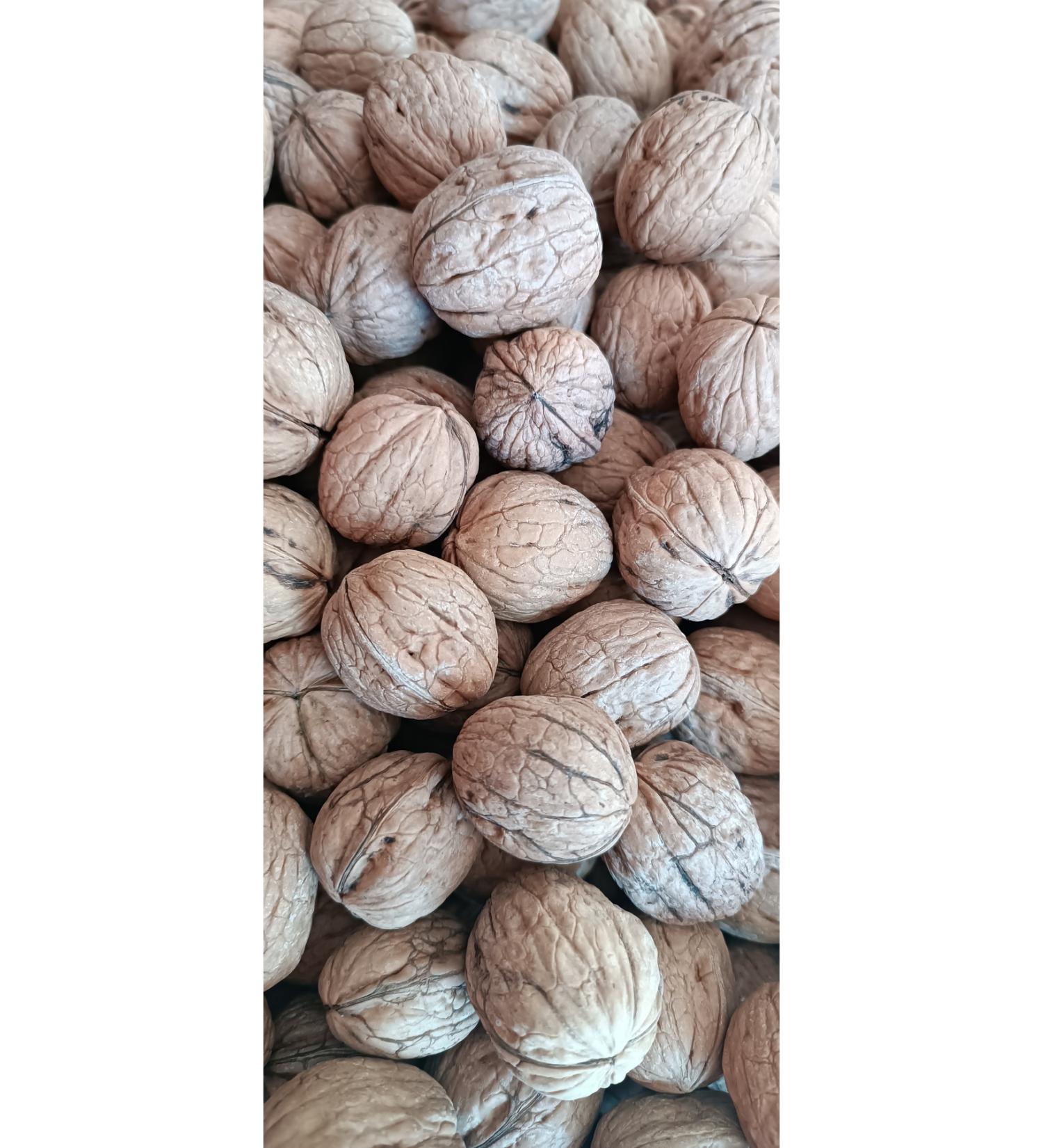 Abari Local walnut