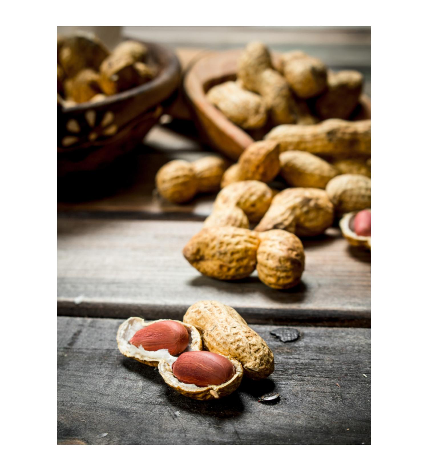 BEK Roasted Peanuts in Shell |1kg|
