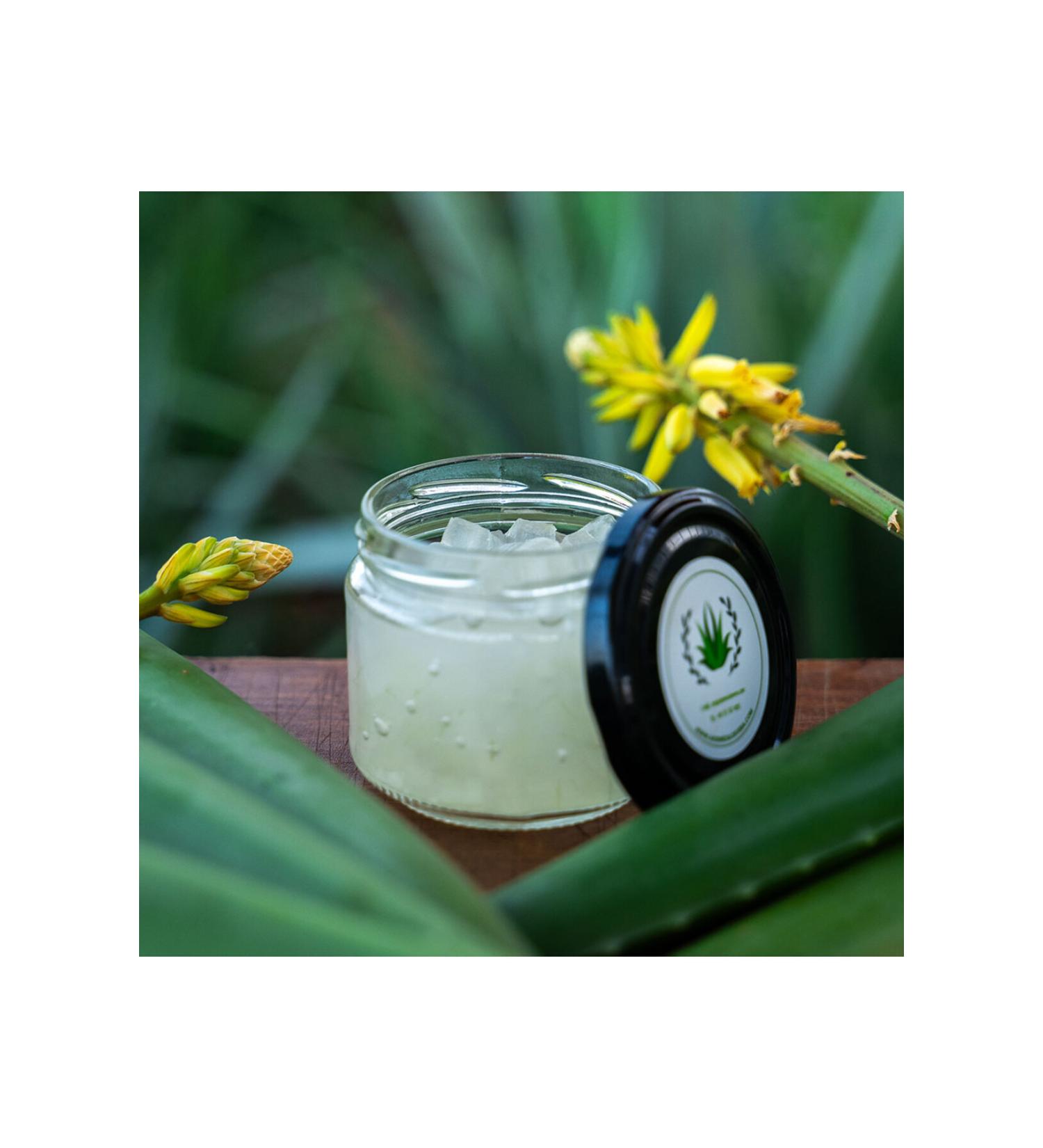 MEDITERRANEAN ALOE VERA Aloe Vera Gel - 210ml - 100% Natural - Buy Online on GoSupps.com