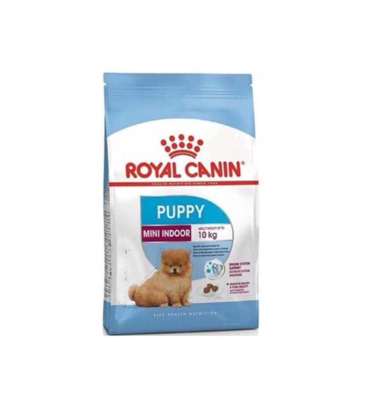 NT GROUP Royal Canin Mini Indoor Puppy Puppy Food 1.5 Kg