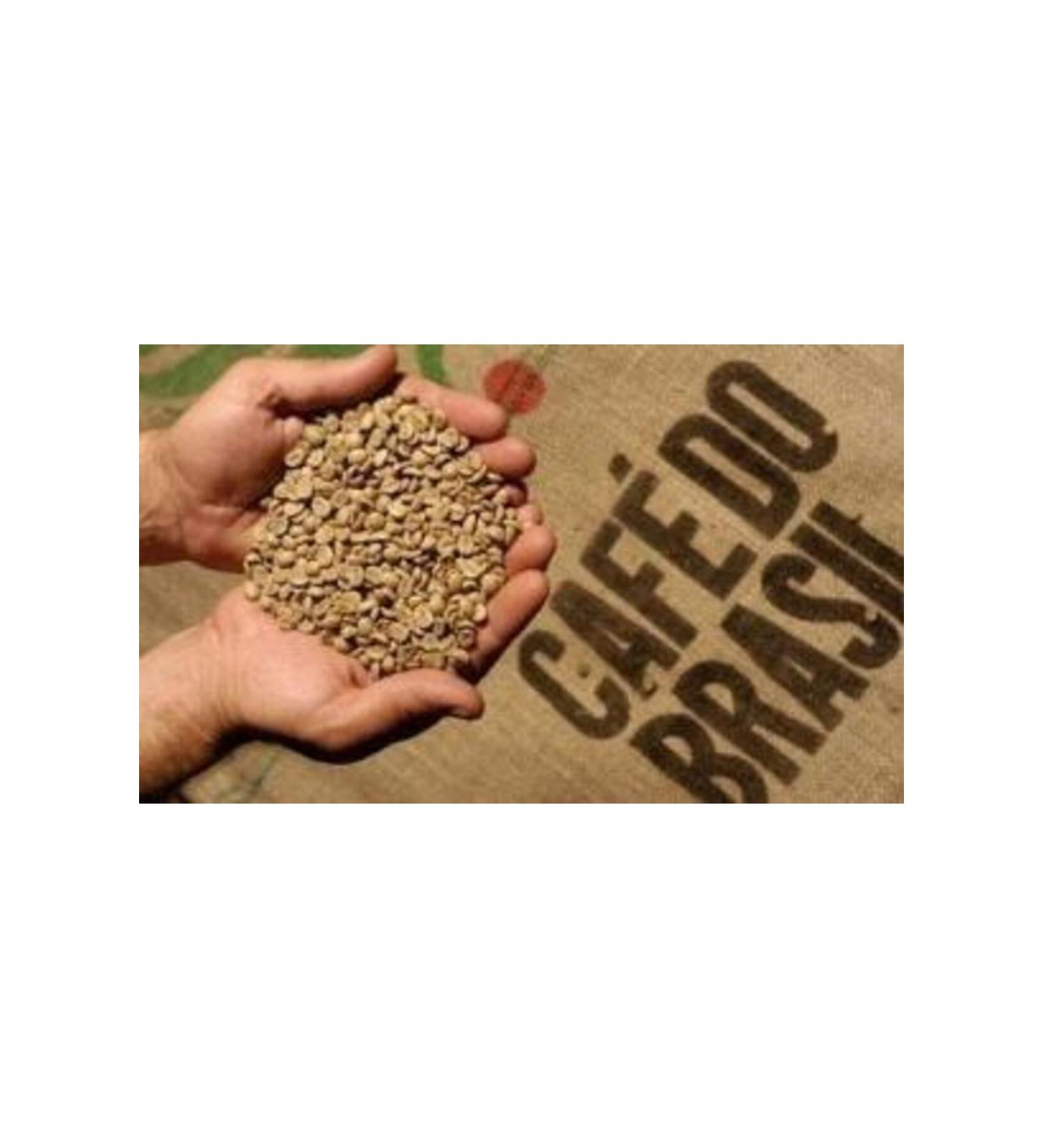 bevo Brazil Rio Minas Es Nicchio Sobrinho Arabica Raw Coffee Beans 1 kg