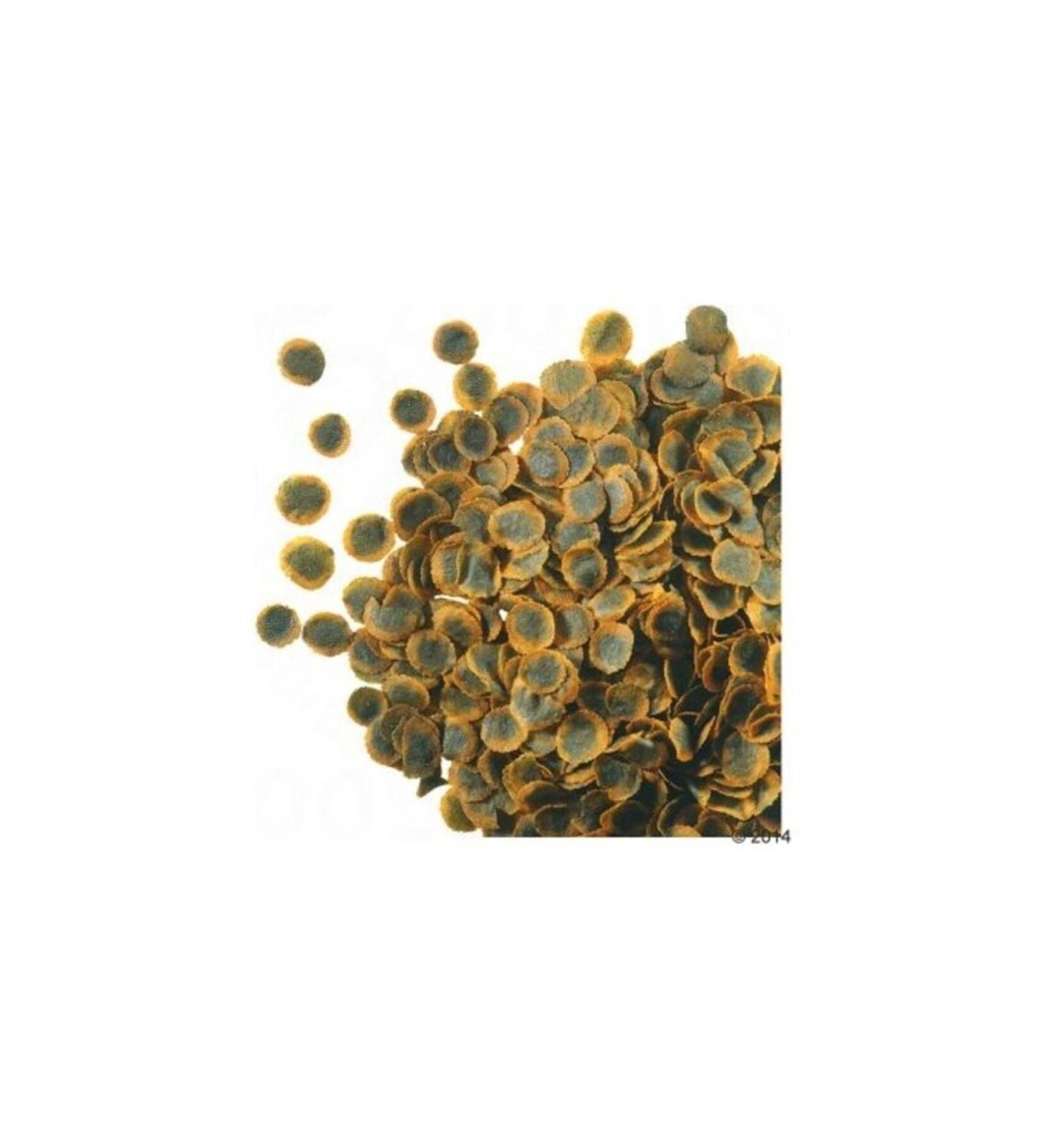 Tetra Pro Algea Open Food 100 gr STT: 11/2025