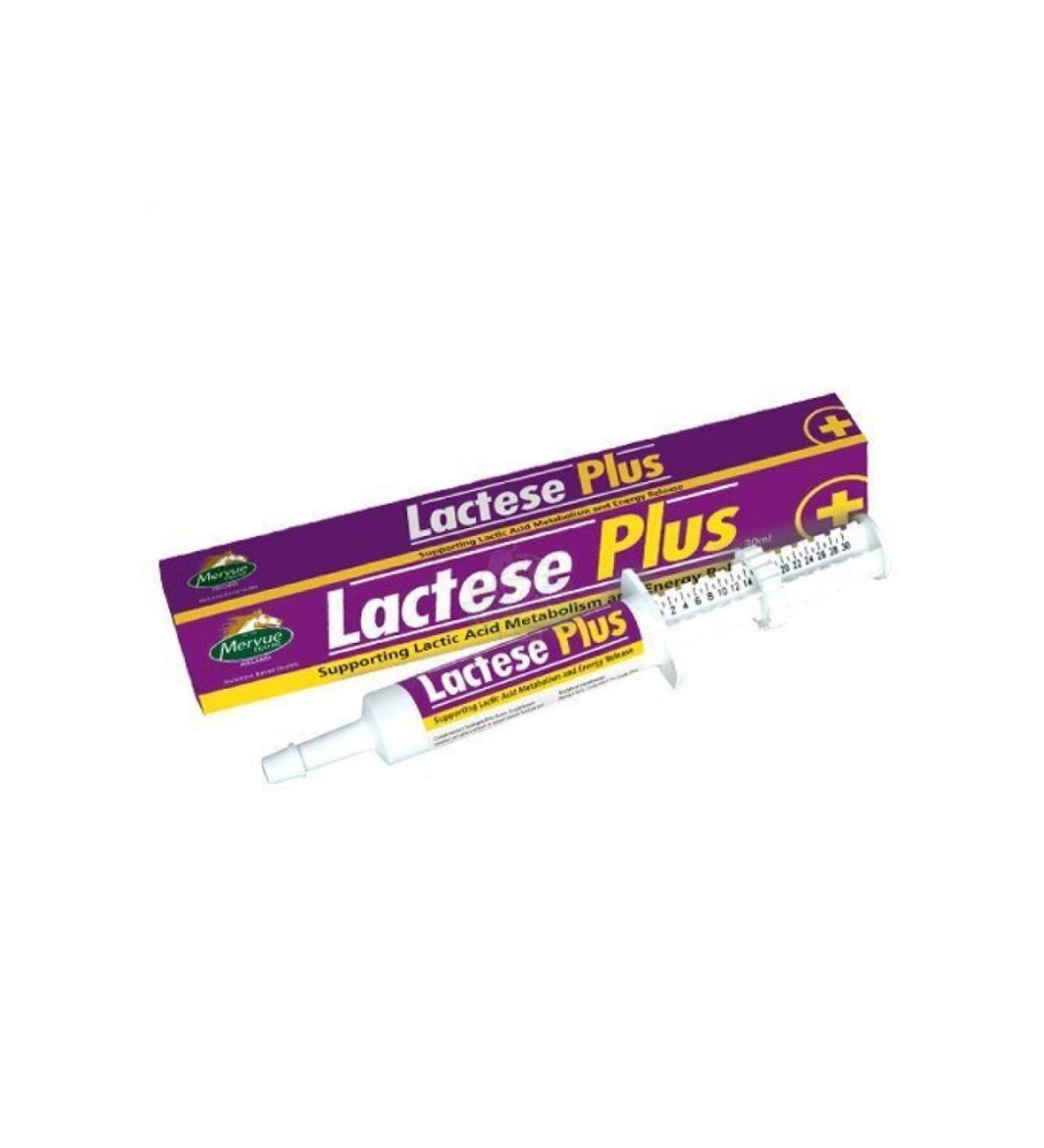 mervue Equine Lactese Plus 30 ml