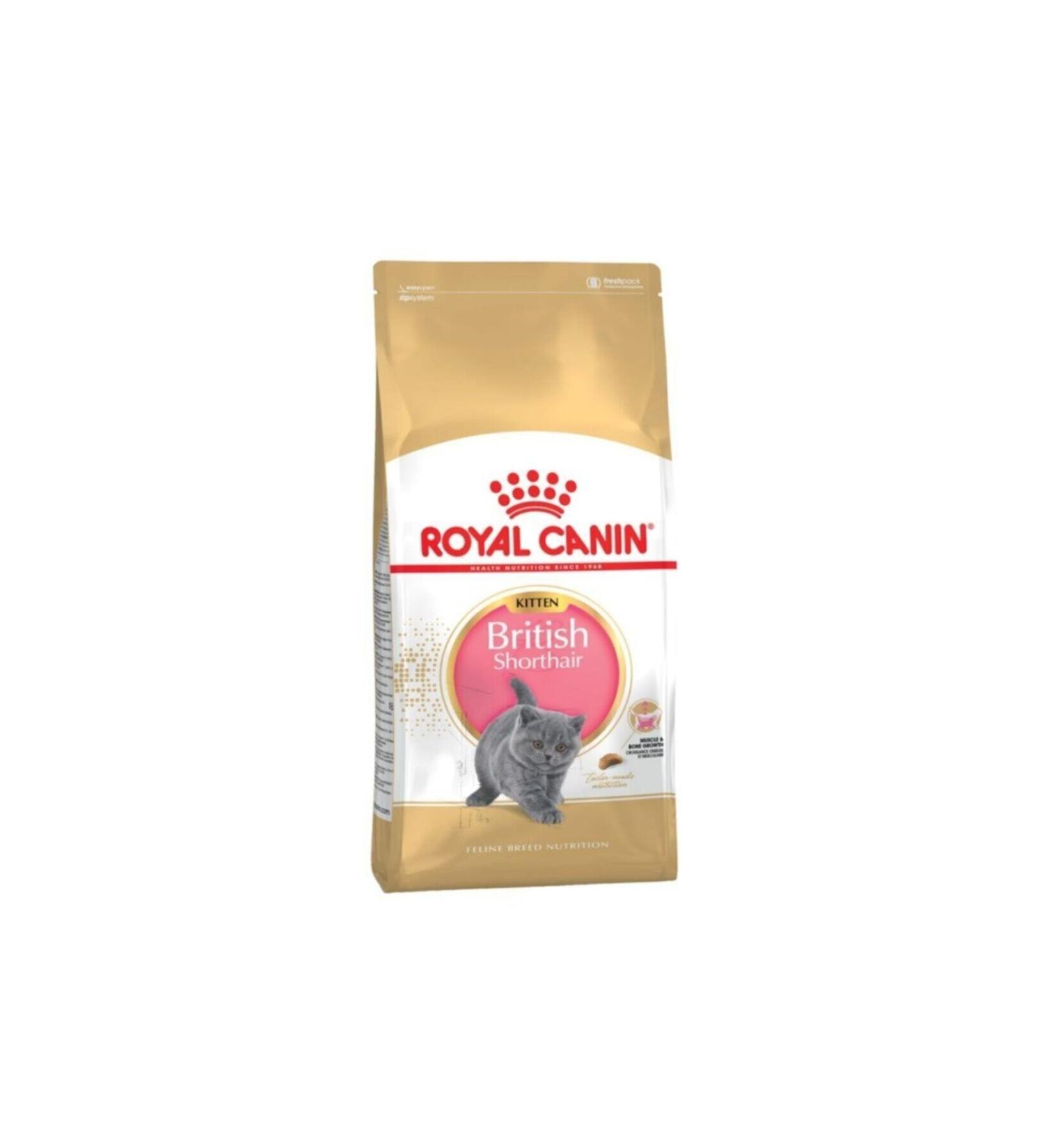 Royal Canin British Kitten Kitten Food