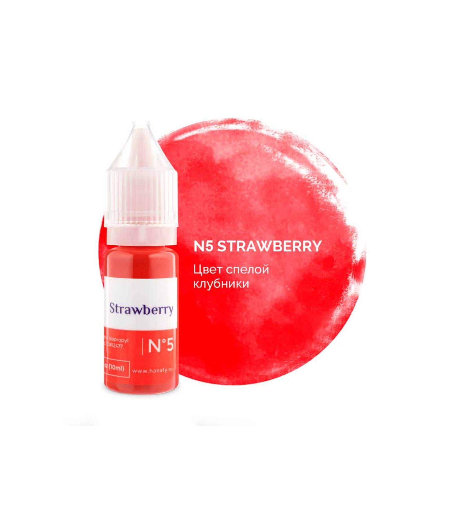 HANAFY Permanent Makeup Pigments American Pigment Russian Origin