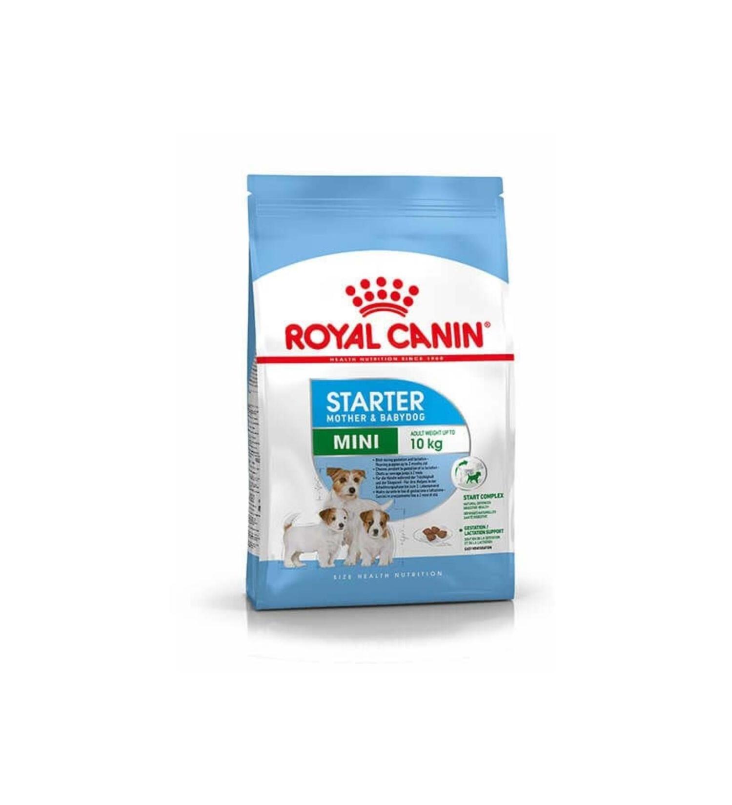 PATIIZICO Royal Canin Mini Starter Mother and Puppy Food 4 Kg