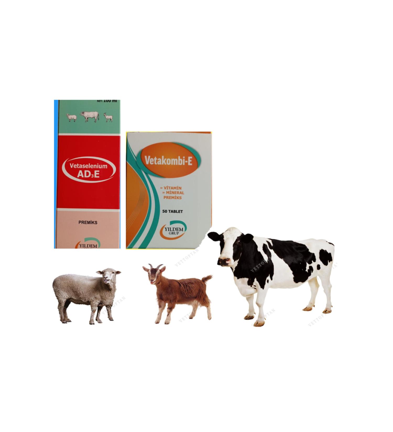 Y ldem Group Vitamin Set for Your Cattle and Sheep (VETAKOB L- E 50 TABLETS VITAMIN AD3E 100 ML)