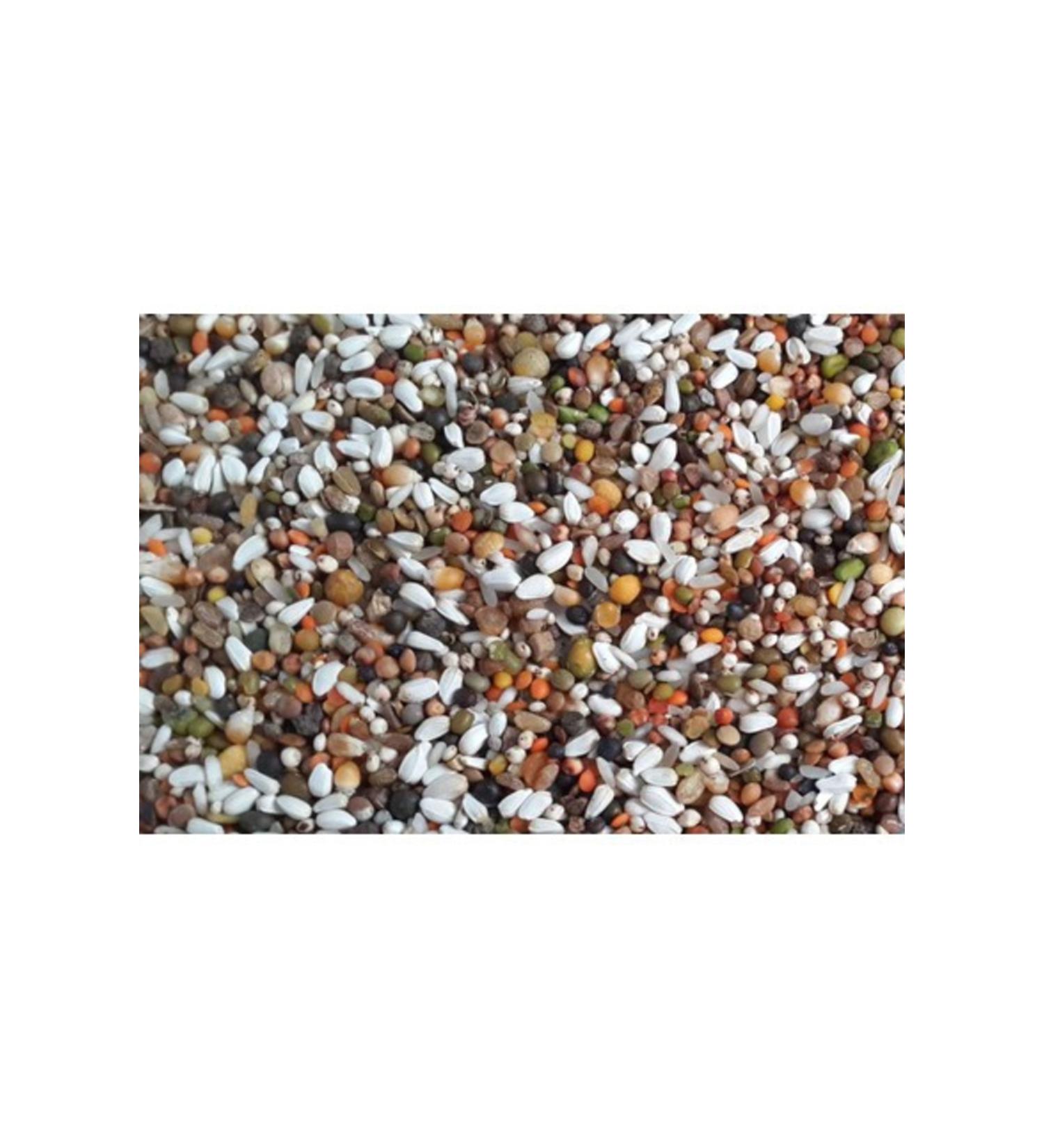 Almond Aquarium Pigeon Food Mixed Pigeon Food Lux Economic 10 Kg
