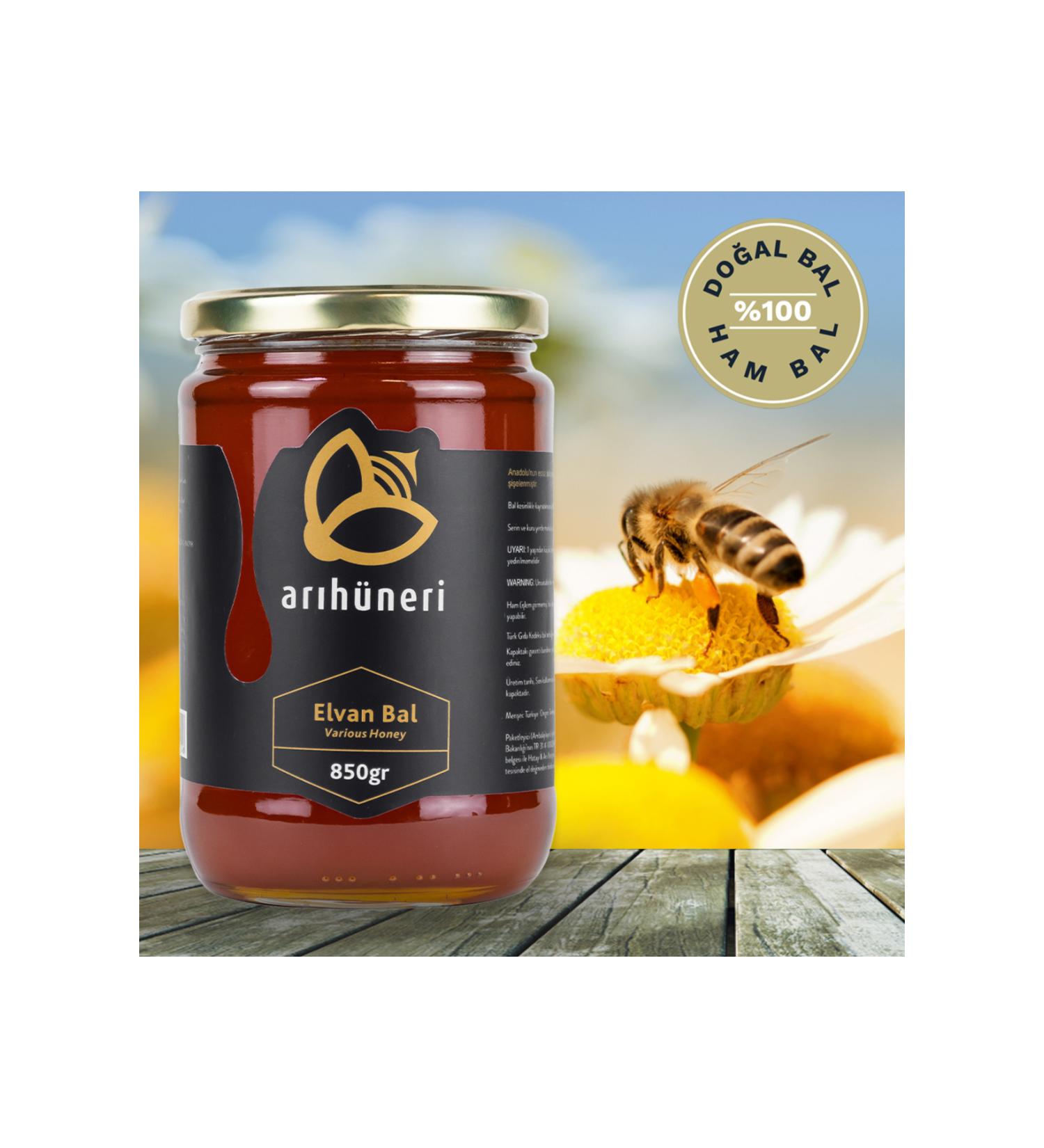 Bee Skill ELVAN HONEY (850 GR)