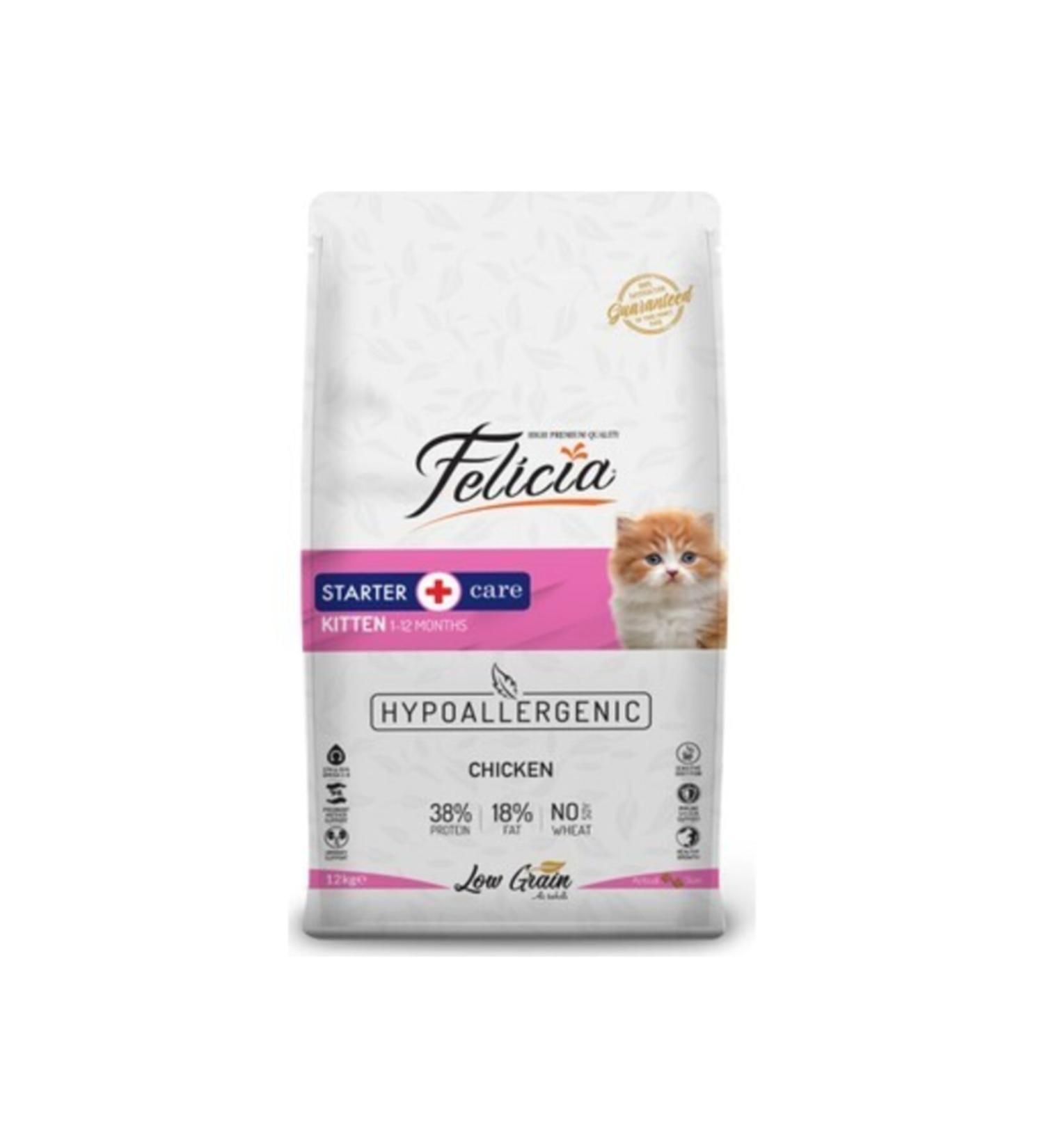 Felicia Kitten Starter Care Kitten Food