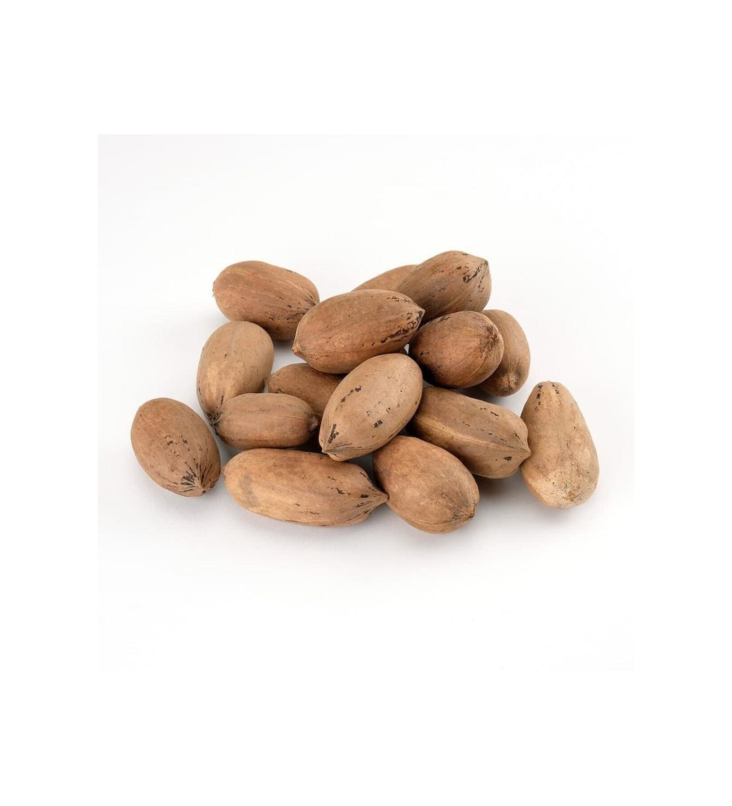 Nutova Pecan Shelled Walnuts 500 Gr