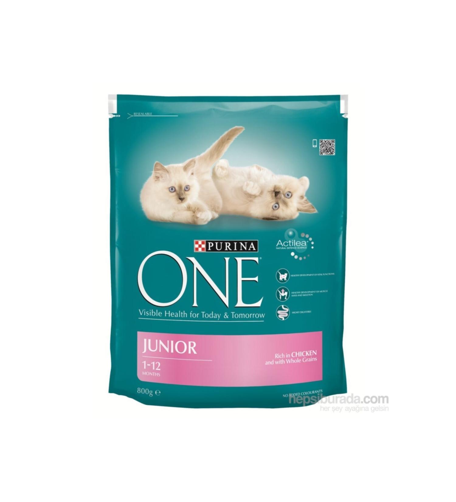 Purina Kitten Food 800gr