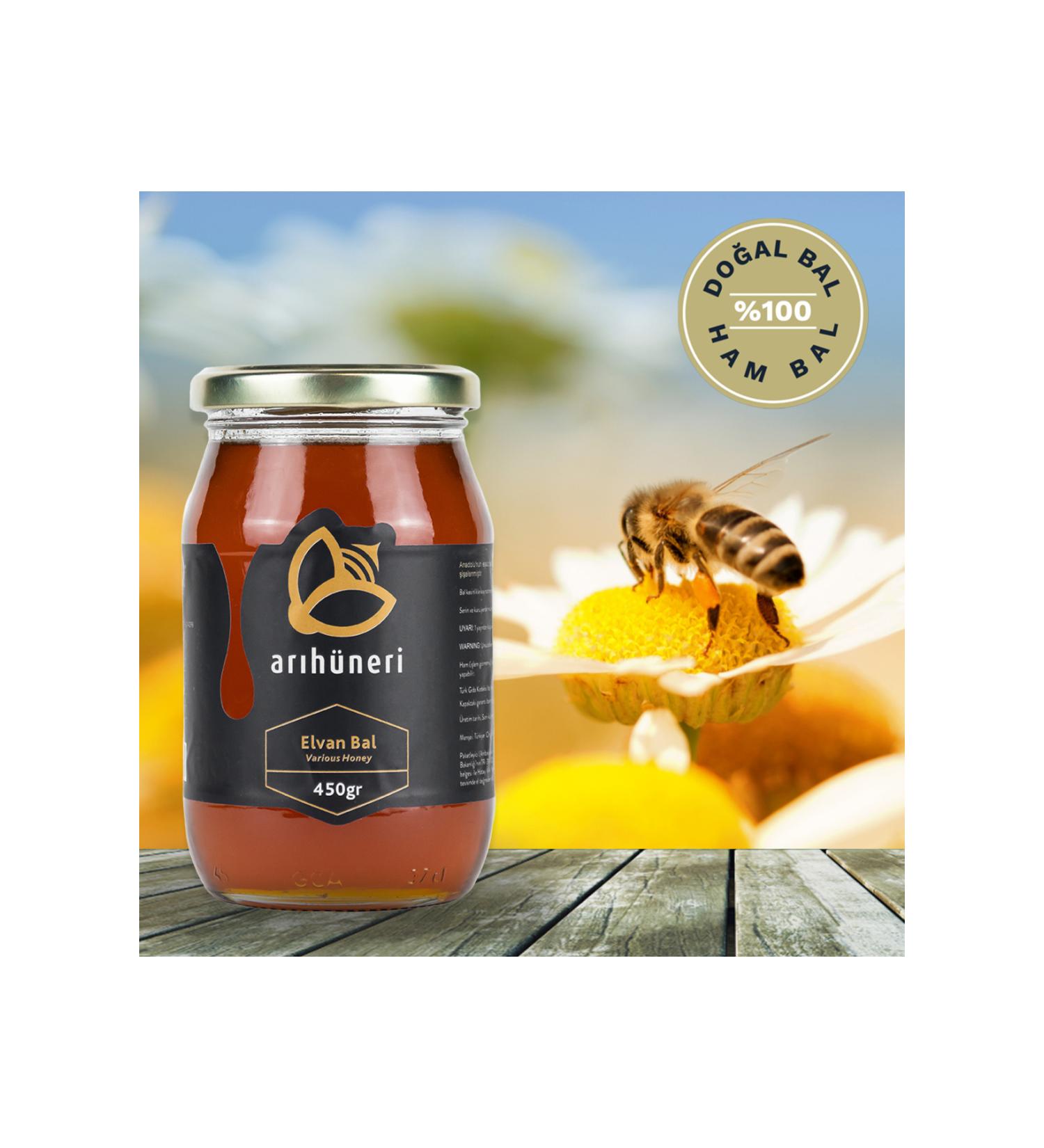 Bee Skill ELVAN HONEY (450 GR)