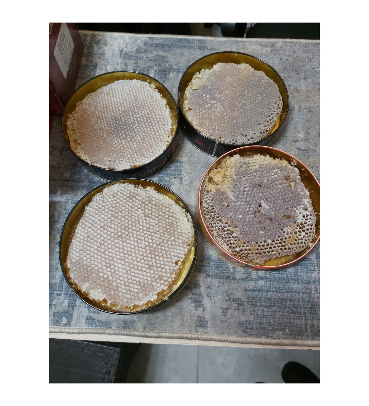 Lion Karakovan honey 1 kg