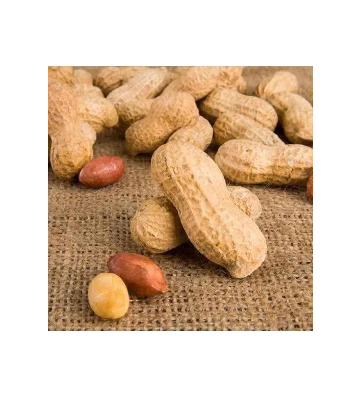SNACKS Unsalted Roasted Peanuts in Shell 1kg