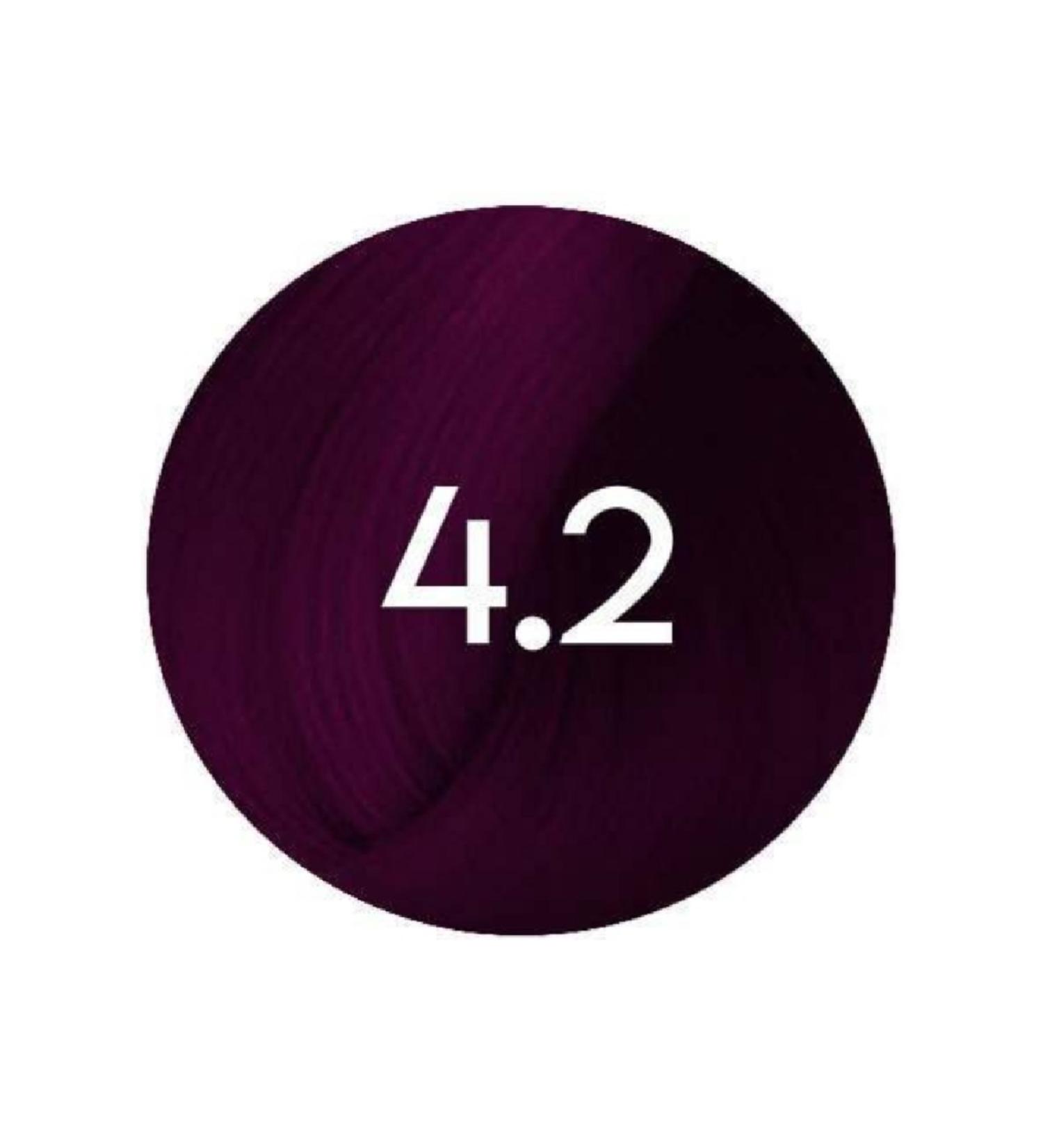 NOA High White Coverage Antioxidant Hair Dye 4.20 Extra Burgundy Brown 60 gr. ECBeauty.X52