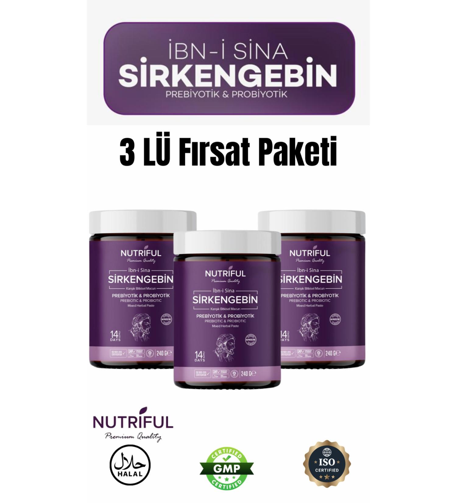 Nutriful Ibn Sina Sirkengebin Paste 3-Piece Opportunity Pack Nutri12 - Buy Online on GoSupps.com