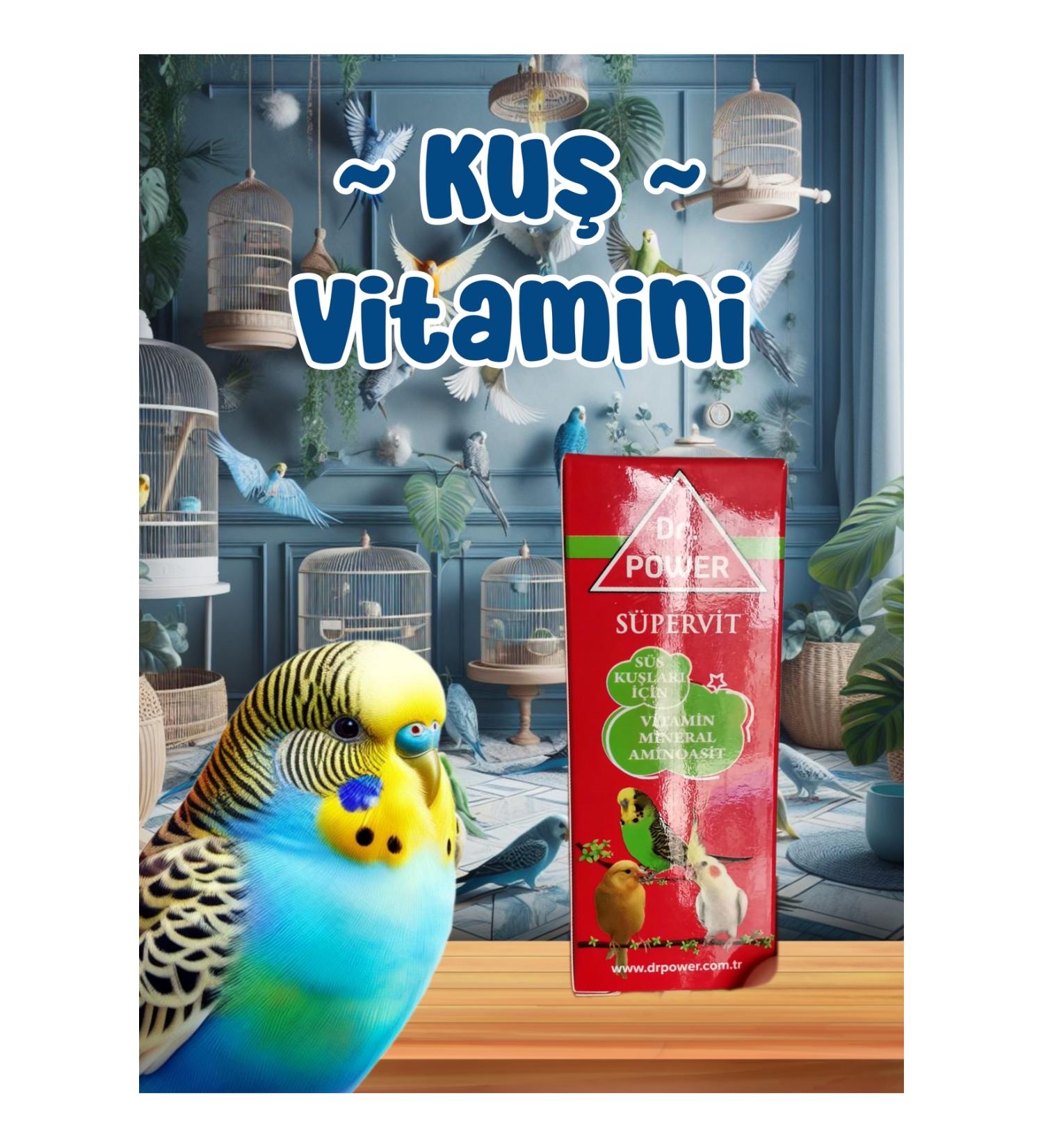 MD ZM R Bird Vitamin / Vitamin Mineral Amino Acid / Used in Budgerigars Parrots etc.