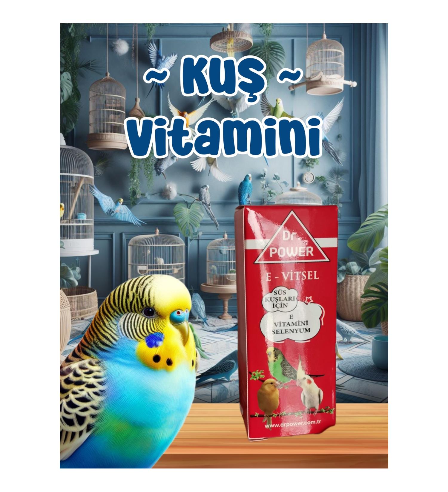 MD ZM R Bird Vitamin / Vitamin E Selenium / Used in Budgerigars Parrots etc.