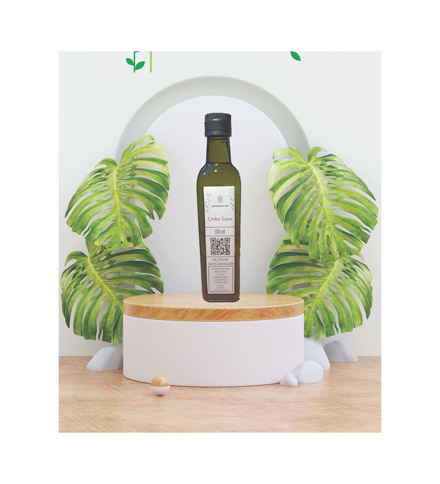 gansplasma Frequency Zinc Water 500 ml