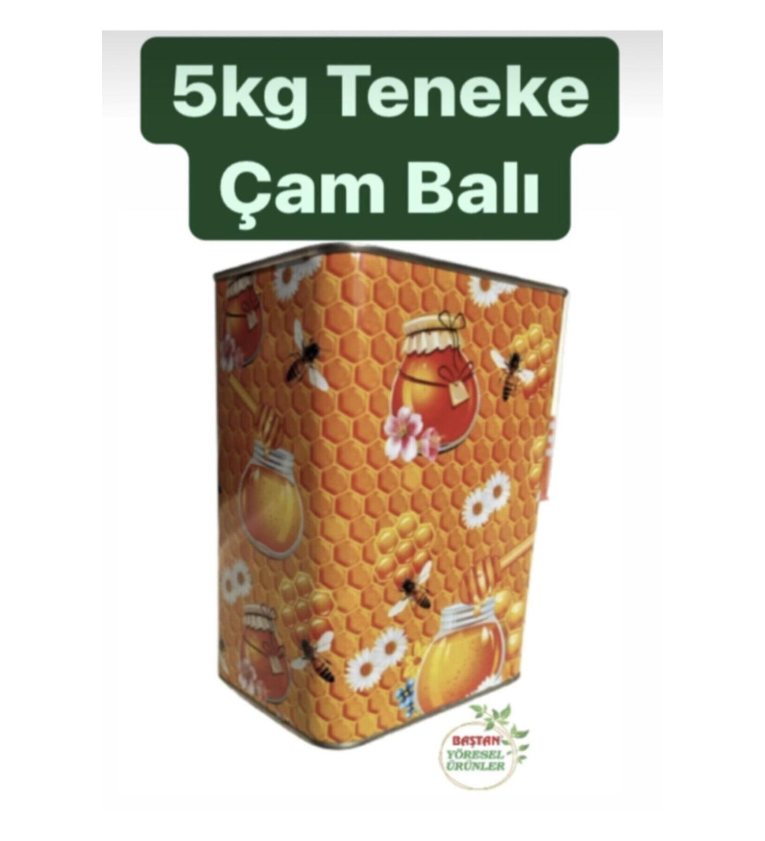 Local 5kg Tin Fethiye Pine Honey (FOR PROMOTION PURPOSES)