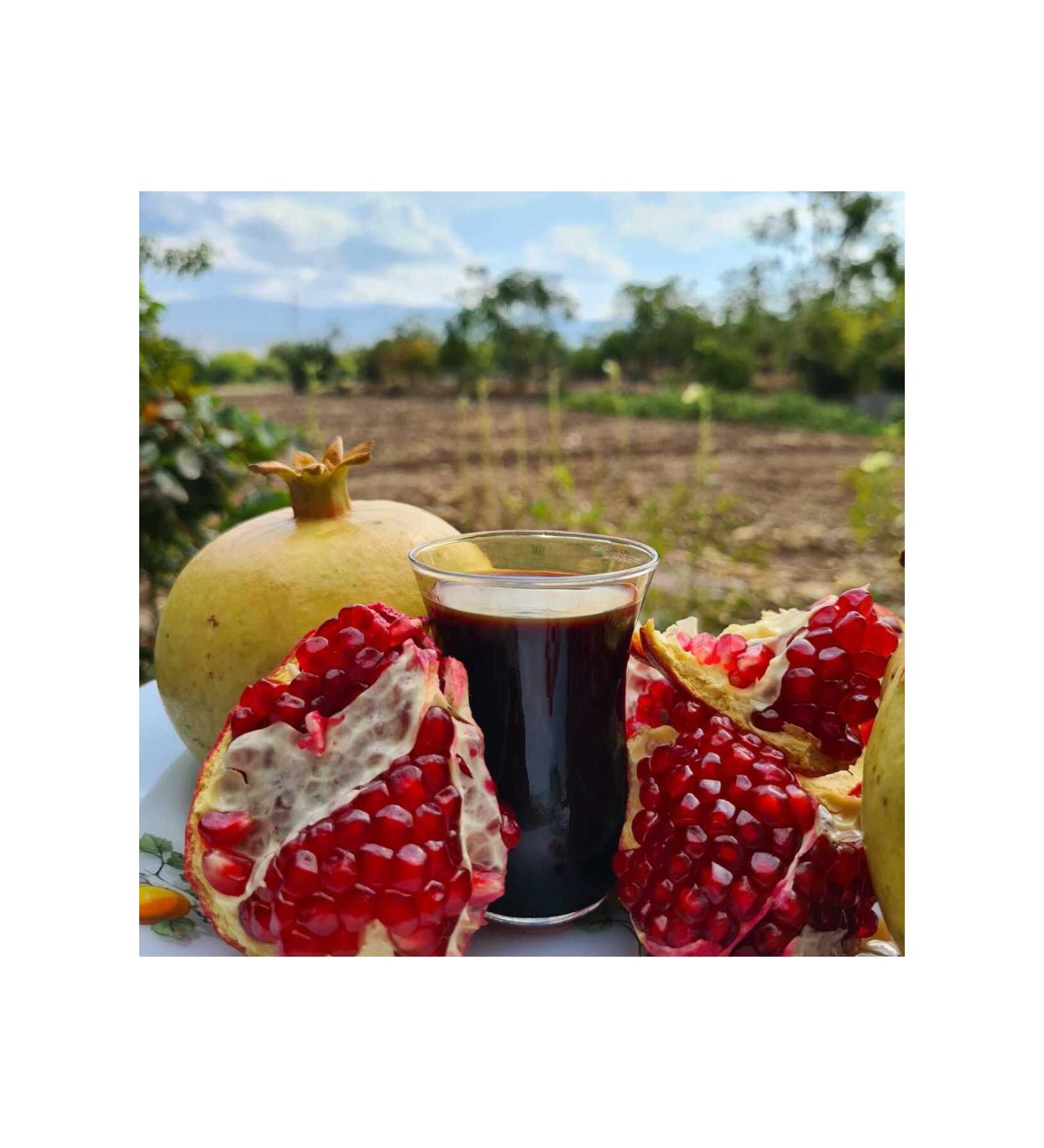 G LEN LOCAL FOOD Hatay Homemade Pomegranate Syrup 1 KG