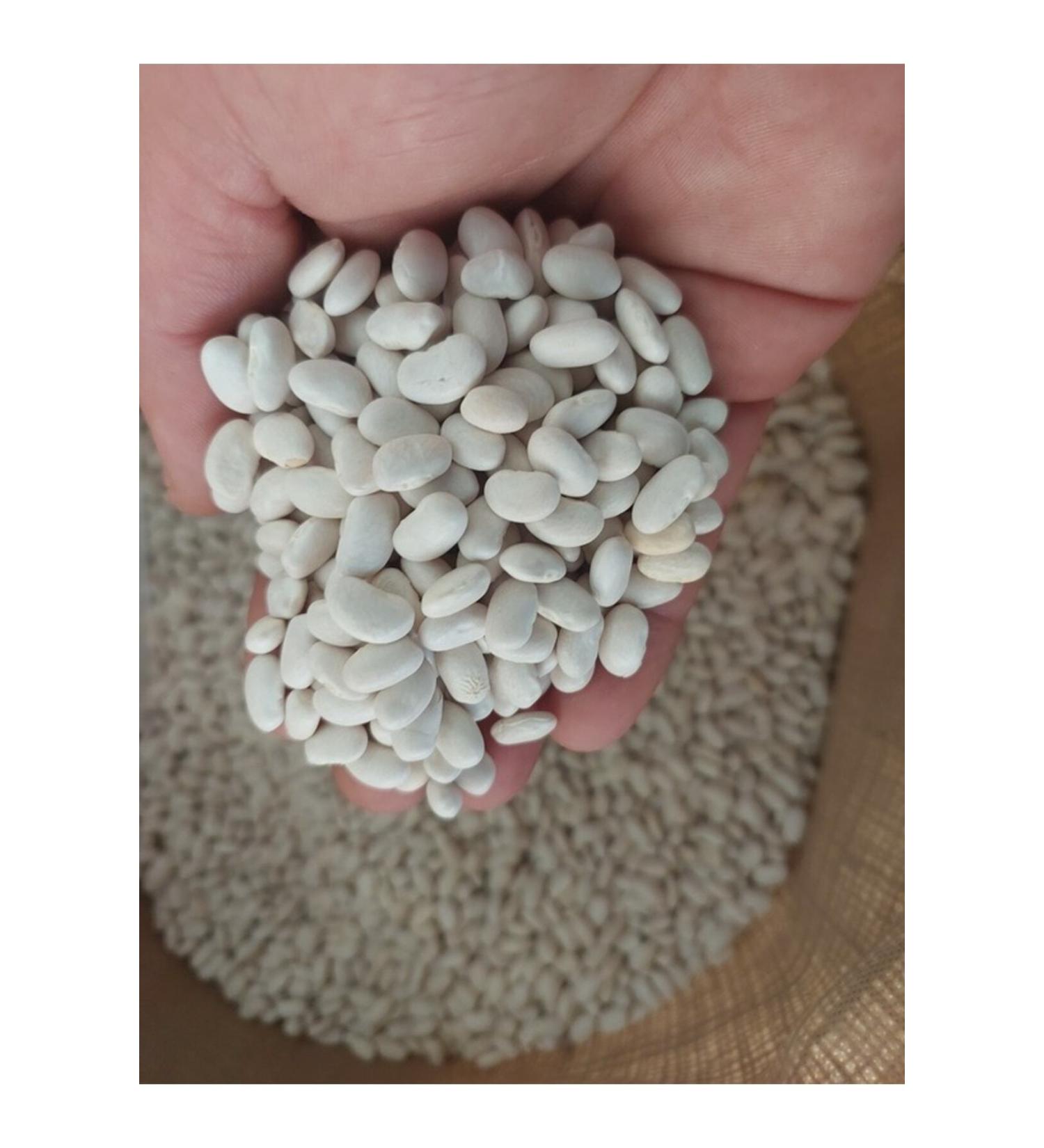 irfan legumes dry beans 3kg - Buy Online on GoSupps.com