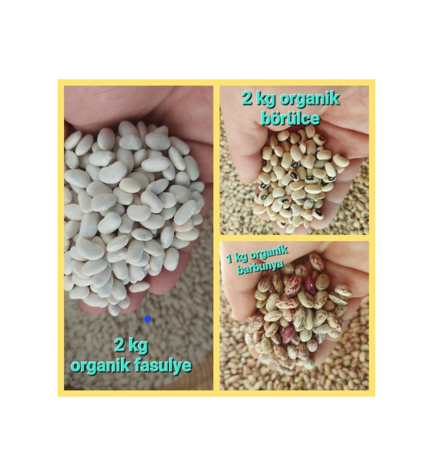 irfan legumes Beans 2 Kg Black Eyed Peas 2kg Kidney Beans1 Kg ( Village Product (additive-free Natural)
