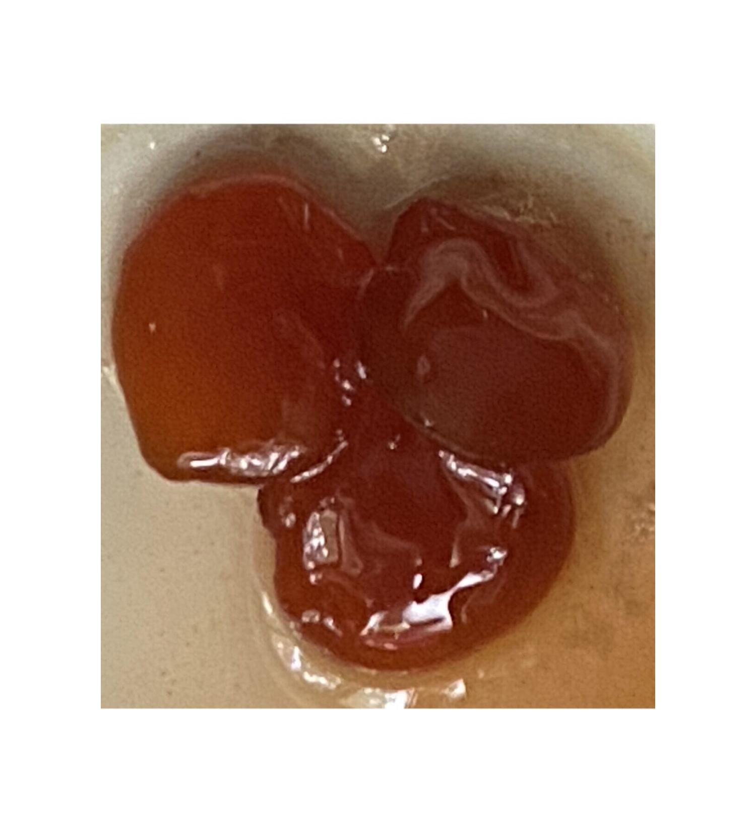 SARAYICIN Prevusta Plum Jam 300cc