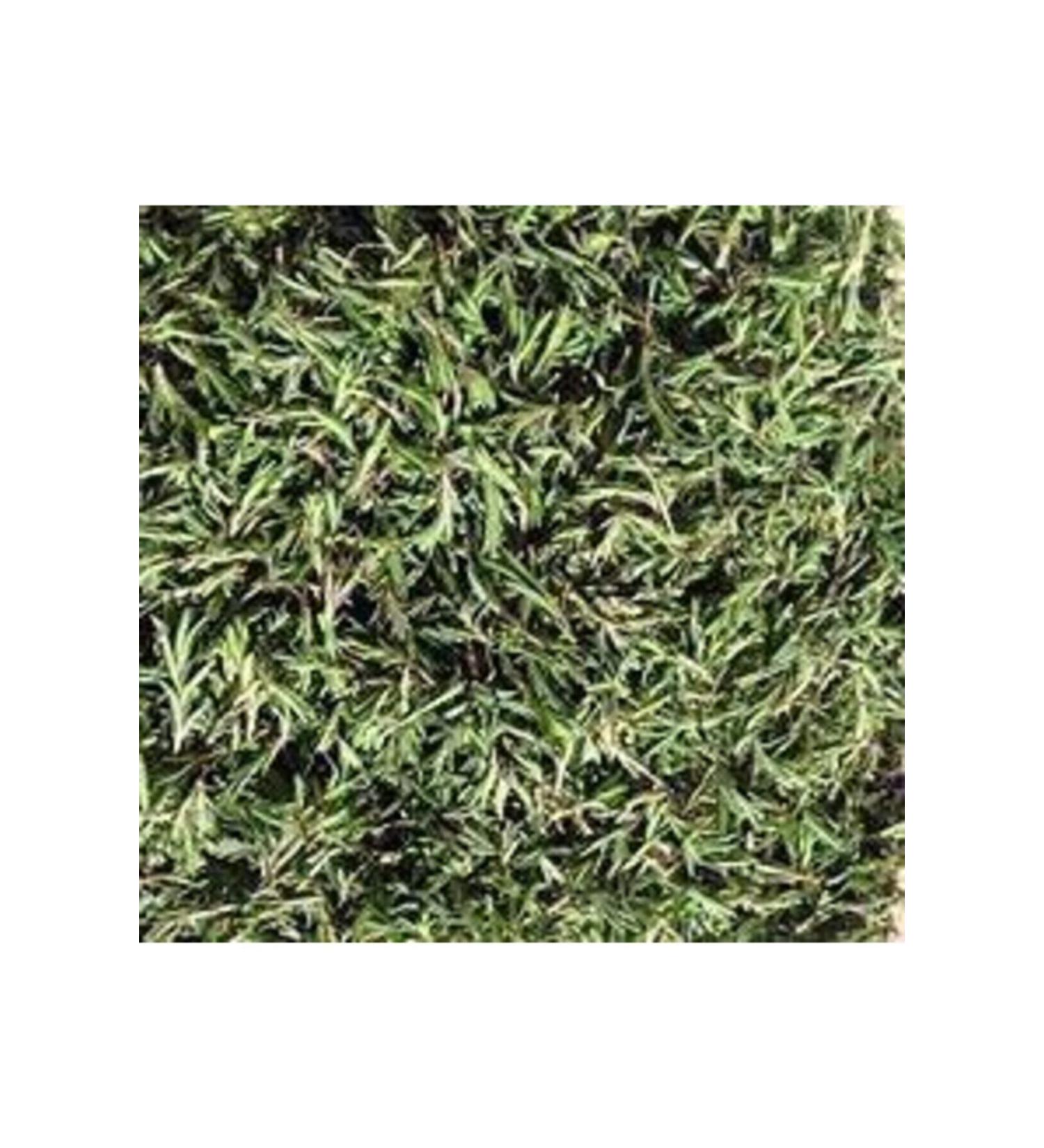 Merdef Mountain Thyme 100 gr
