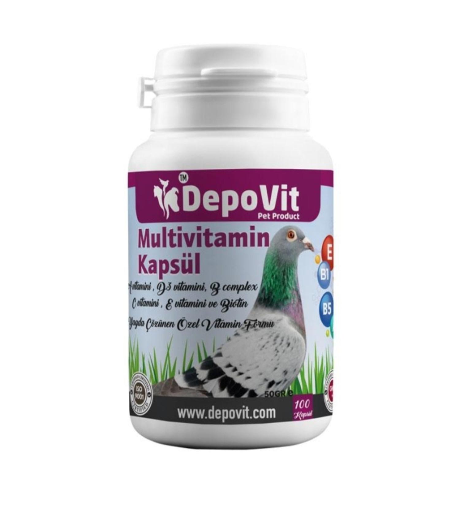 DEPOV T MULTI VITAMIN GEL CAPSULE