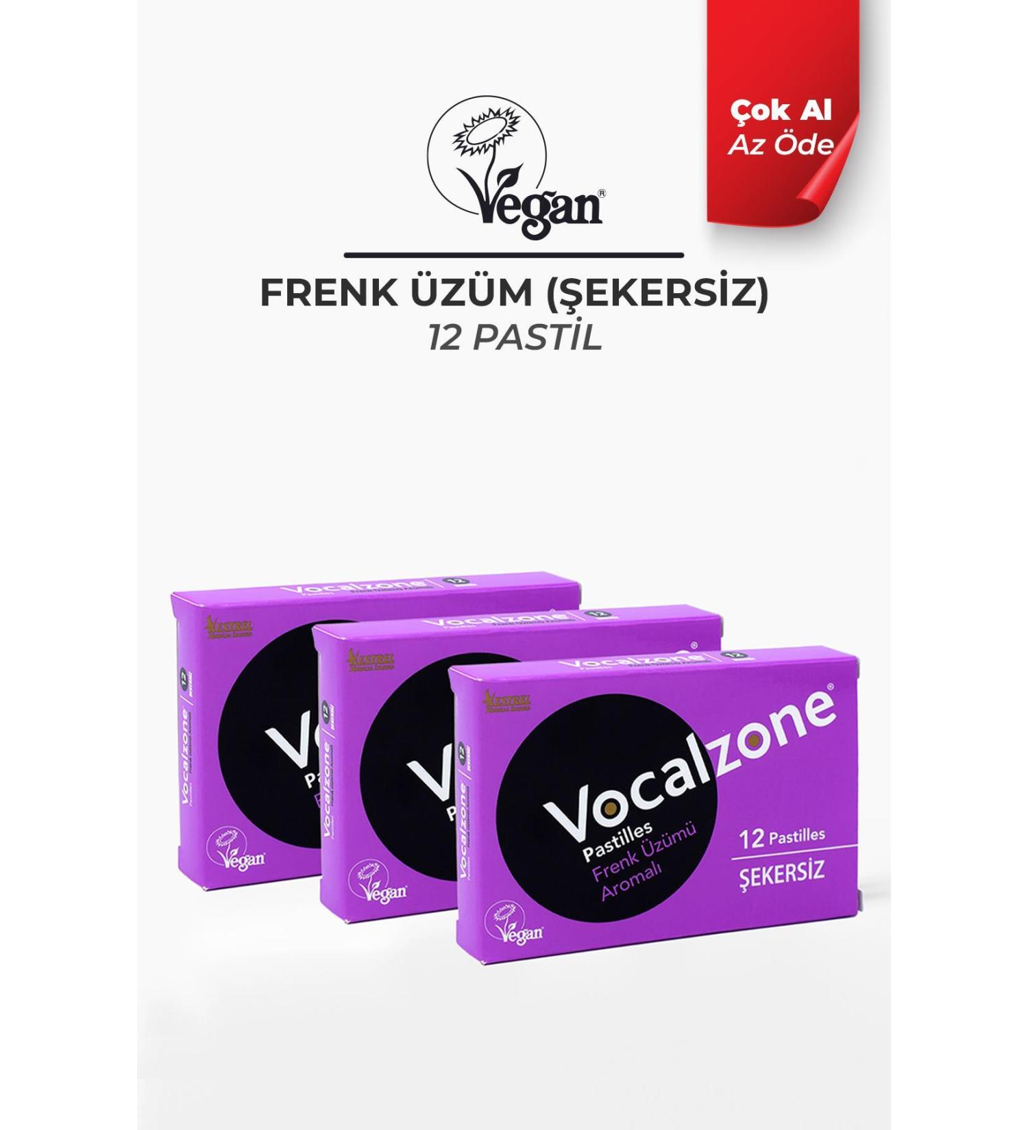 Vocalzone Blackcurrant (SUGAR FREE) Pastille 12 3 Pack